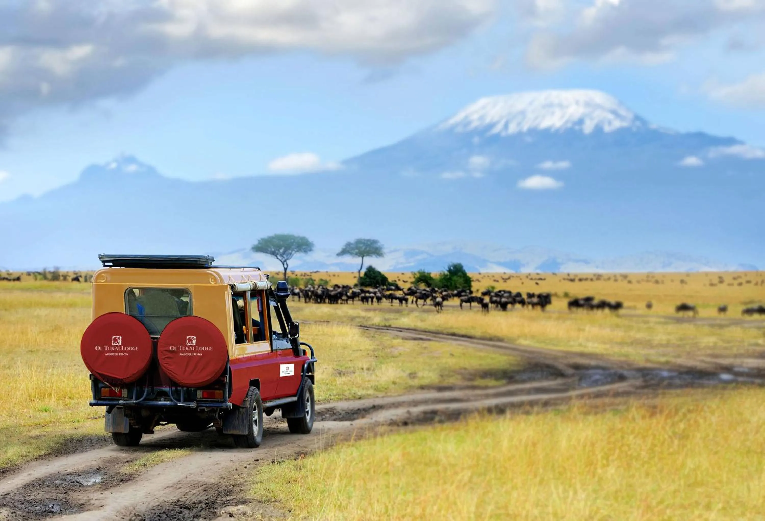 Activities in Ol Tukai Lodge Amboseli