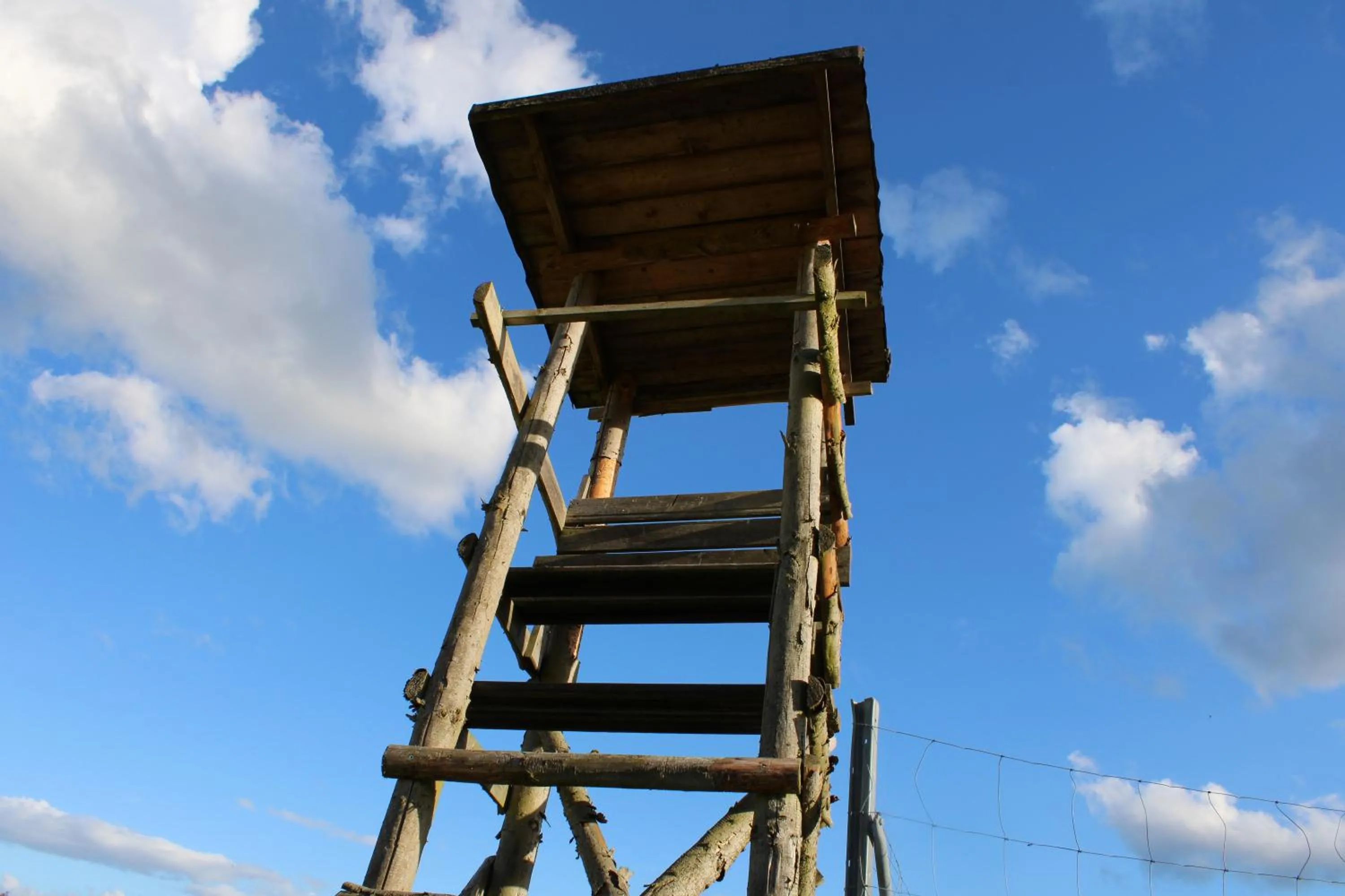 Day in Gasthaus Hofmann