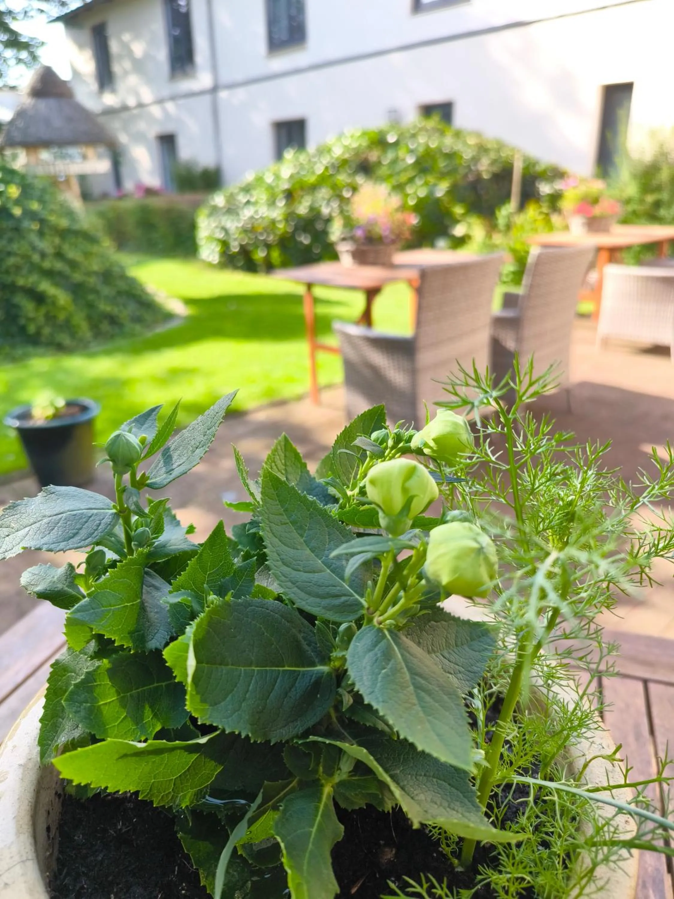 Garden in Golf- & Landhotel am alten Deich