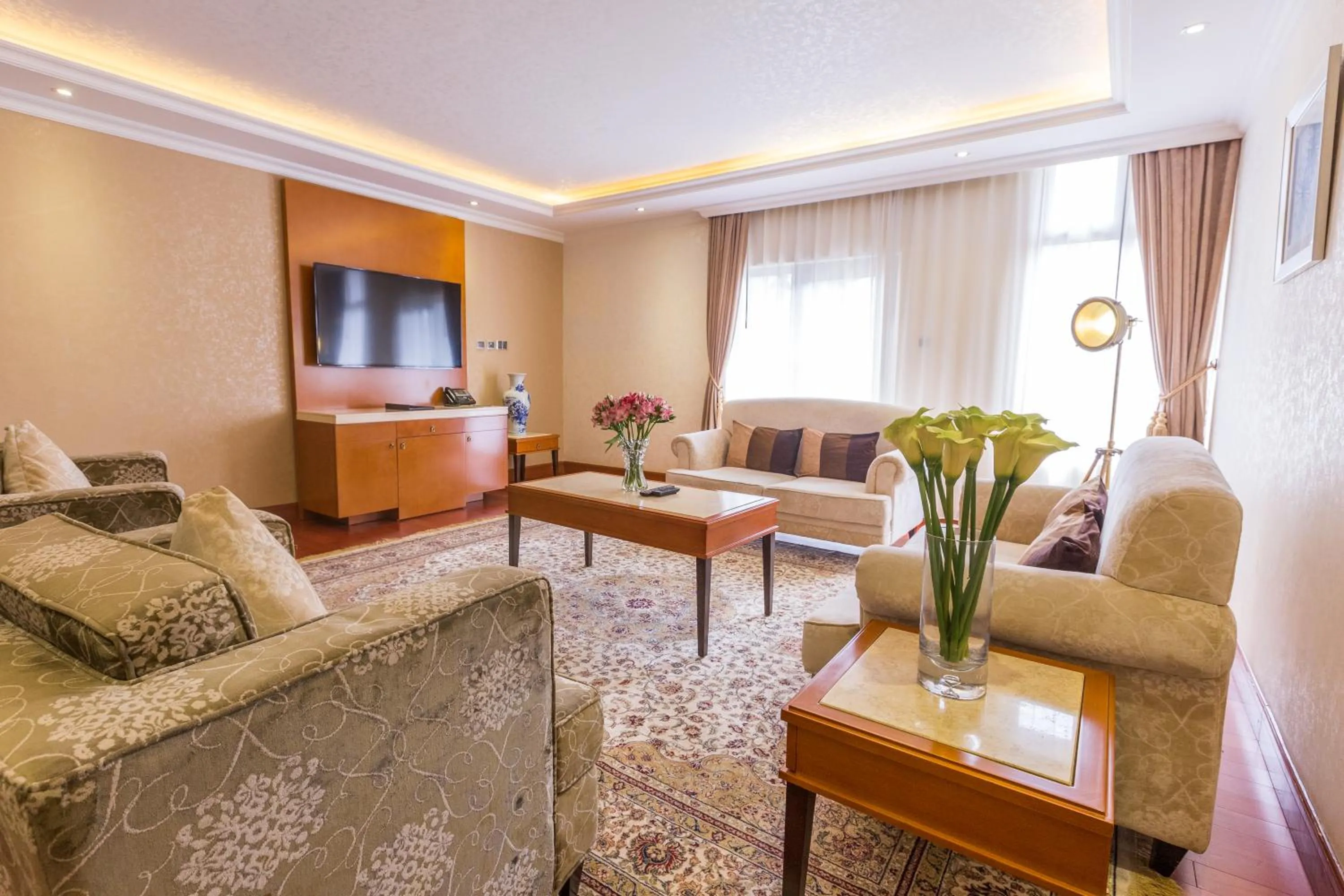 Communal lounge/ TV room in Alba Hotel Meru