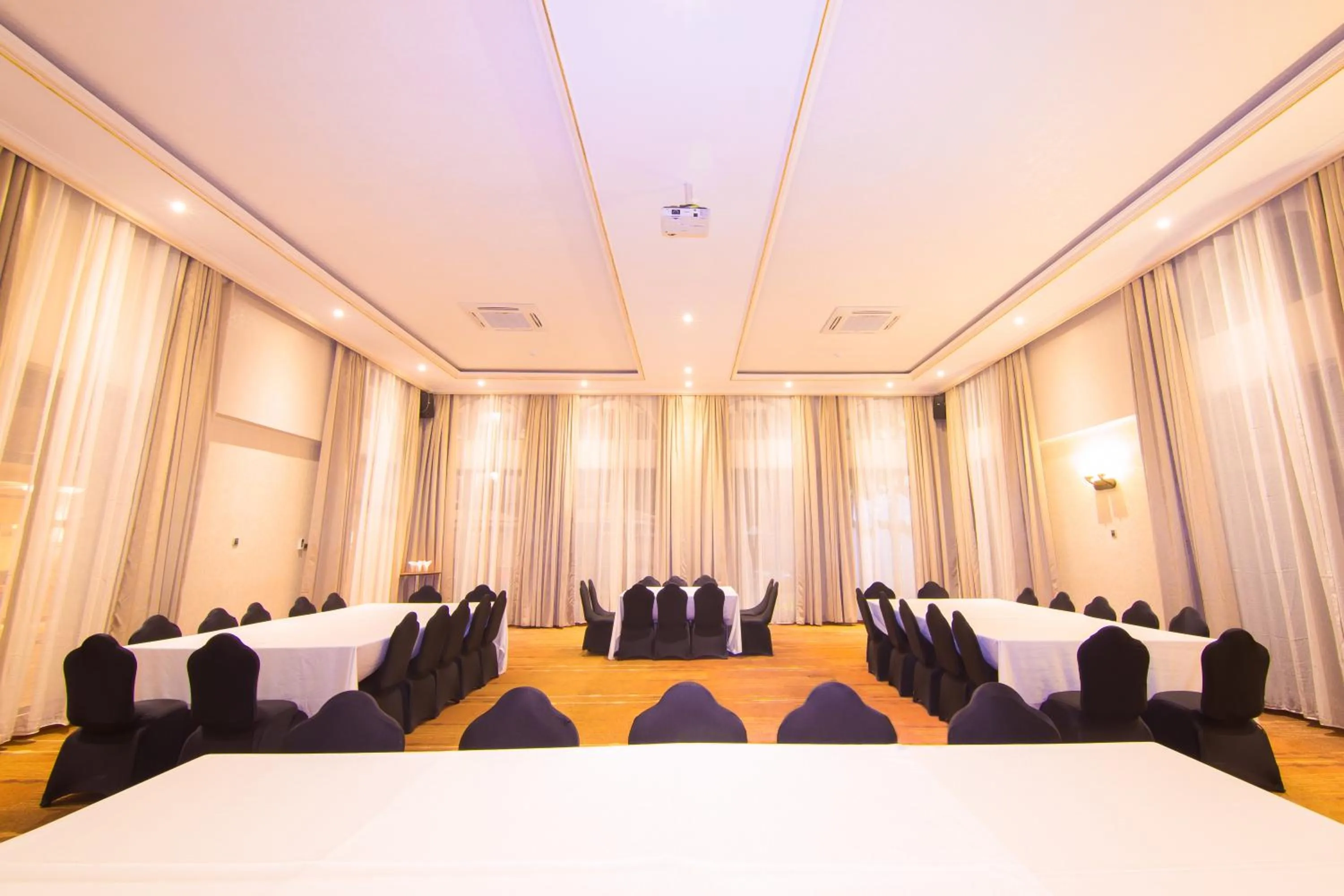 Meeting/conference room in Alba Hotel Meru
