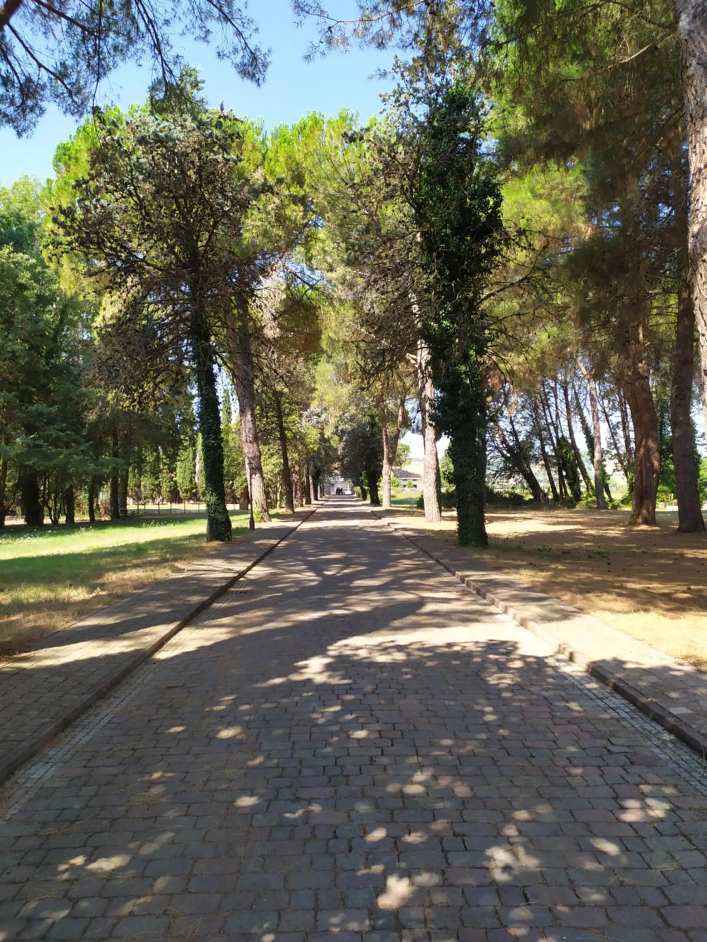 Garden in Torrenova di Assisi Country House