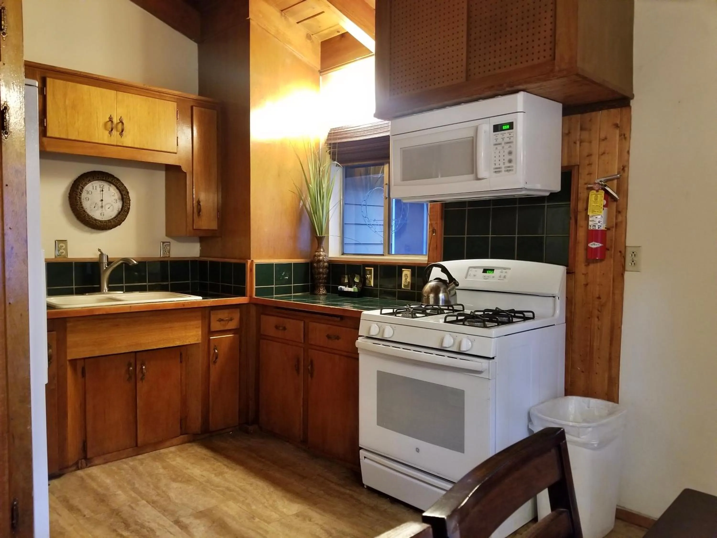 Kitchen or kitchenette in Grey Squirrel Resort
