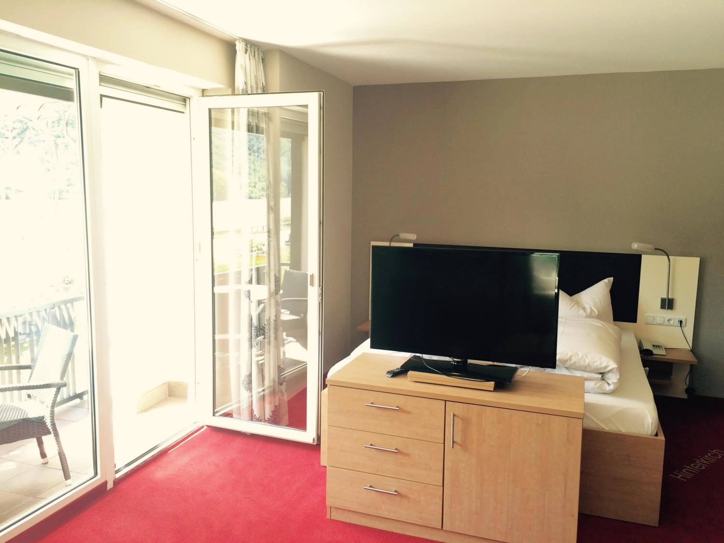 TV and multimedia in Rheinhotel Lamm