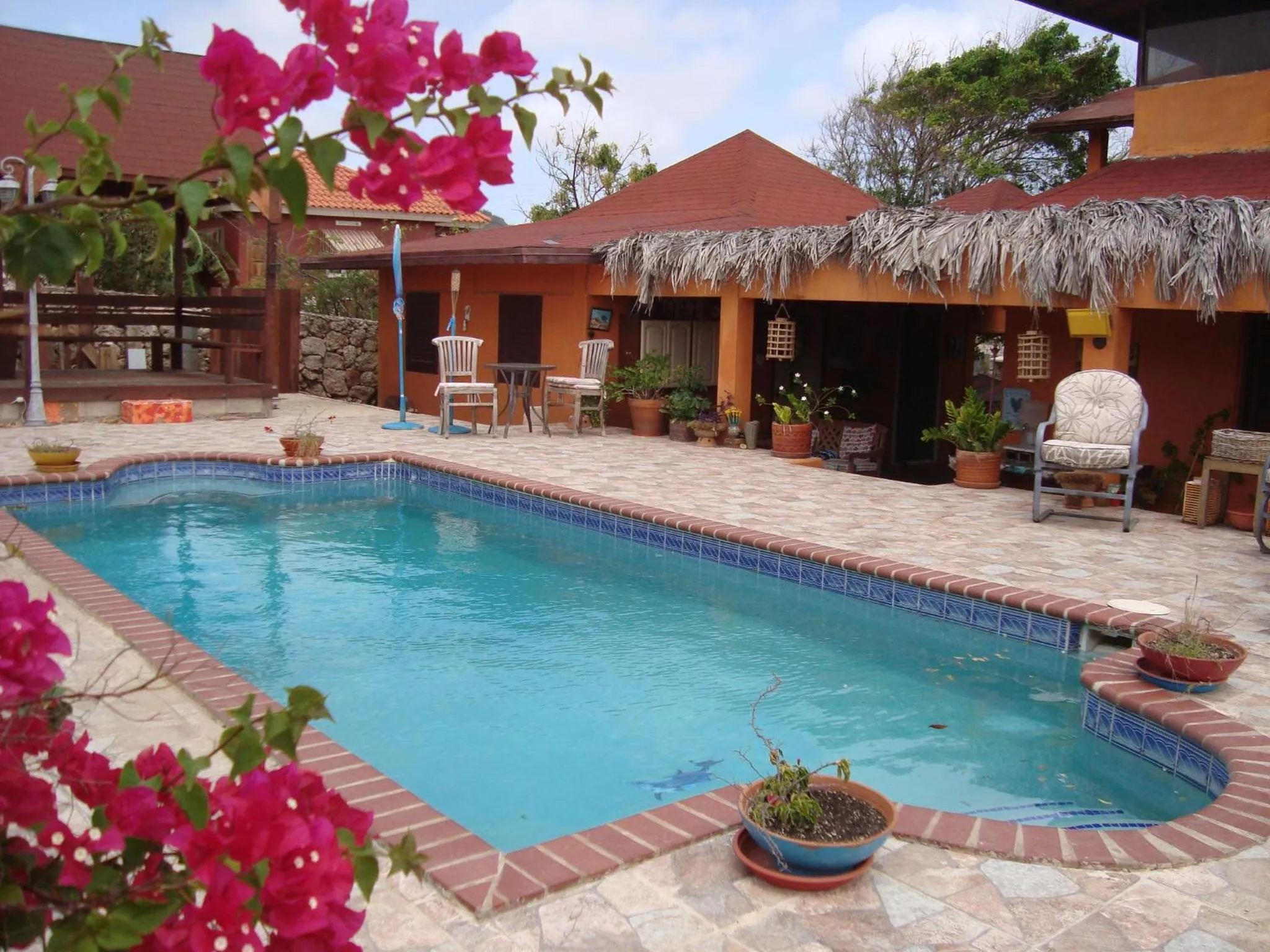 Swimming pool in Fuego Mio Bed & Breakfast