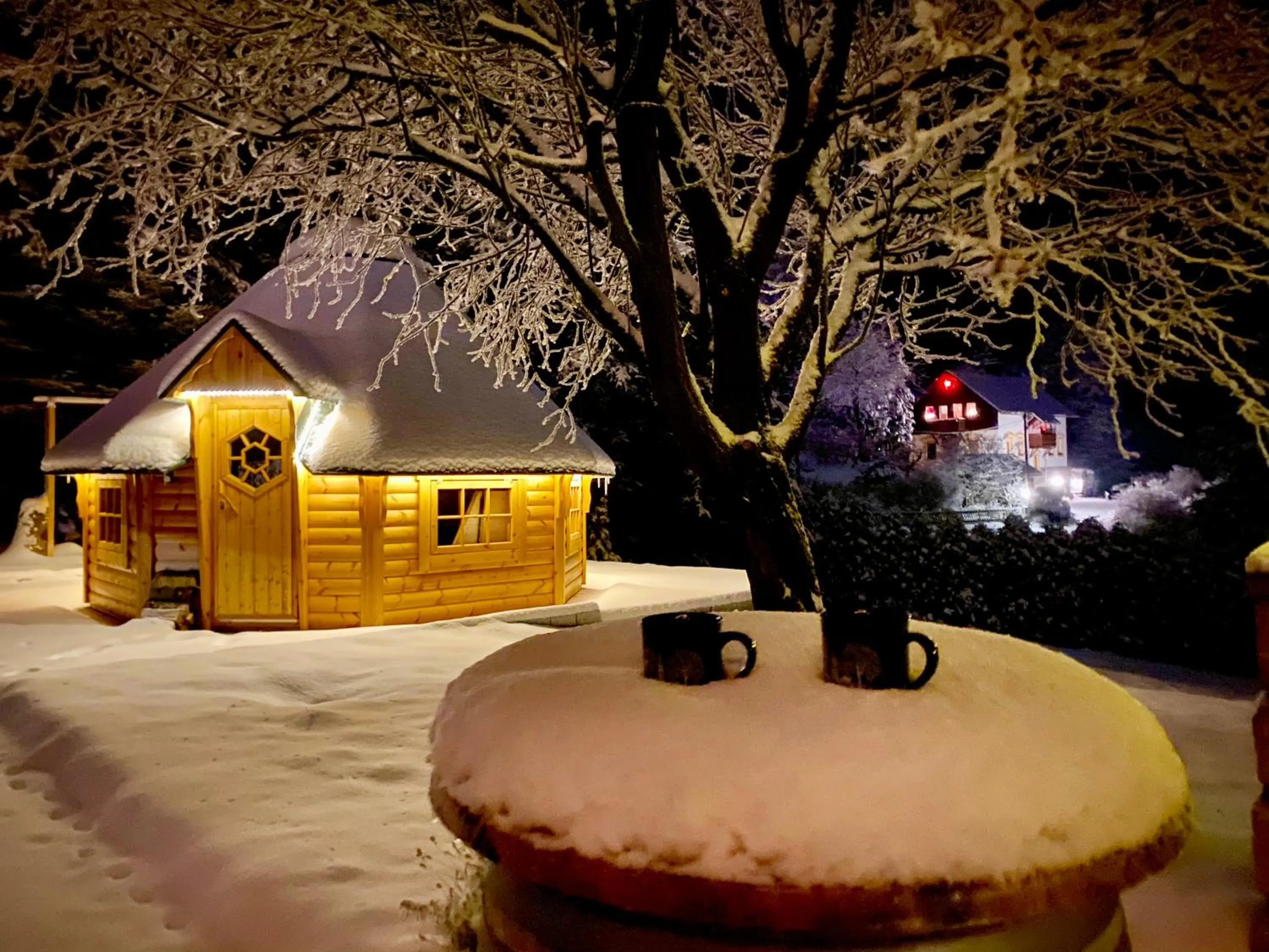 BBQ facilities in Naturhotel Gasthof Bärenfels