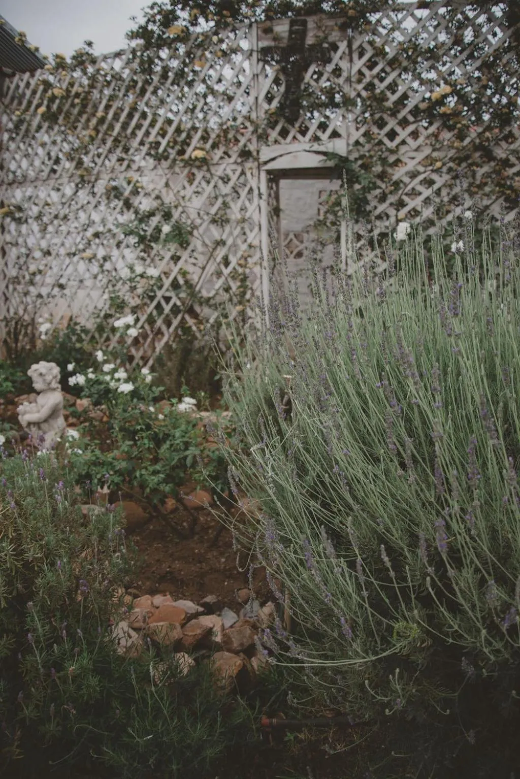 Garden in Lydenburg Manor Guest House