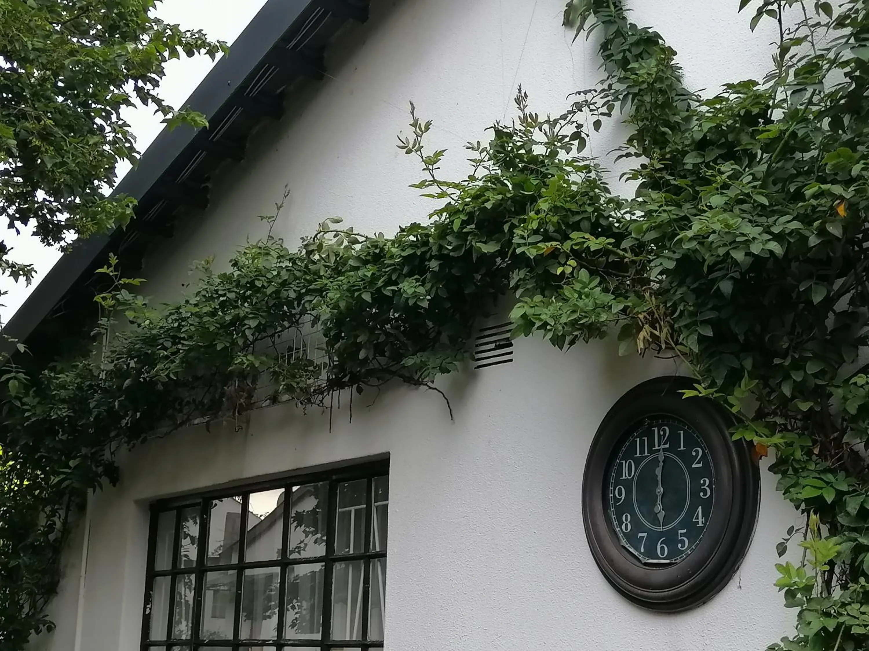 Garden in Lydenburg Manor Guest House