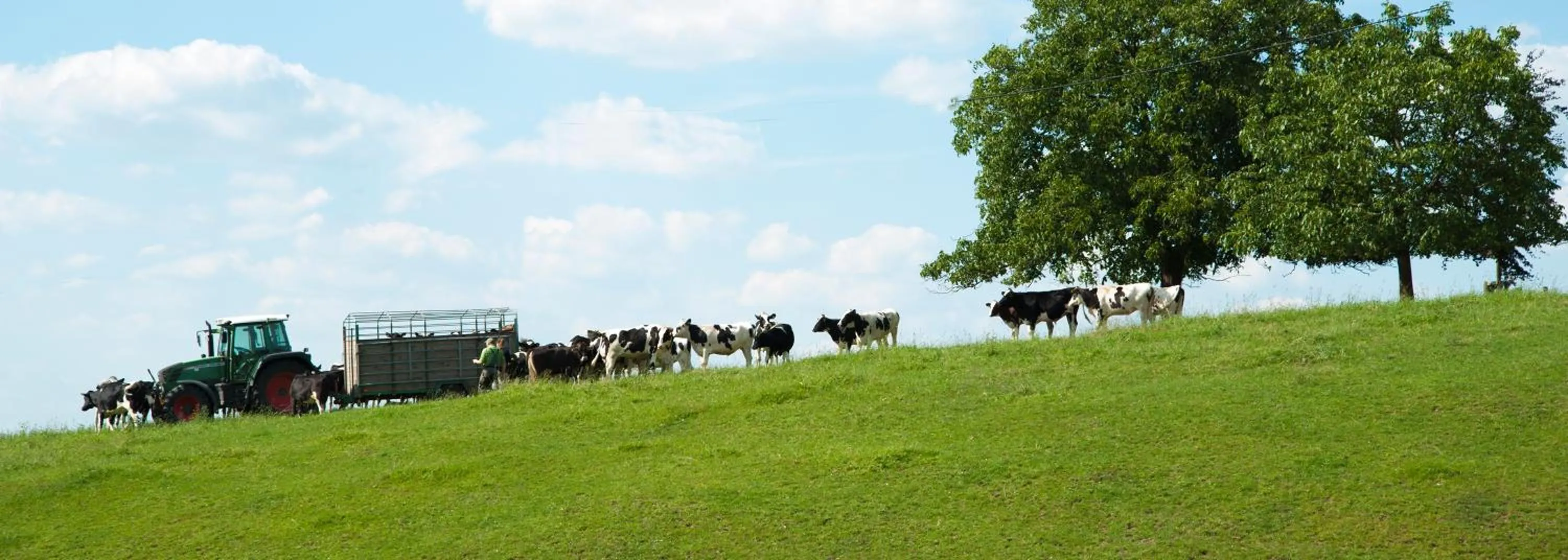 Hiking in Landhotel Napoleon