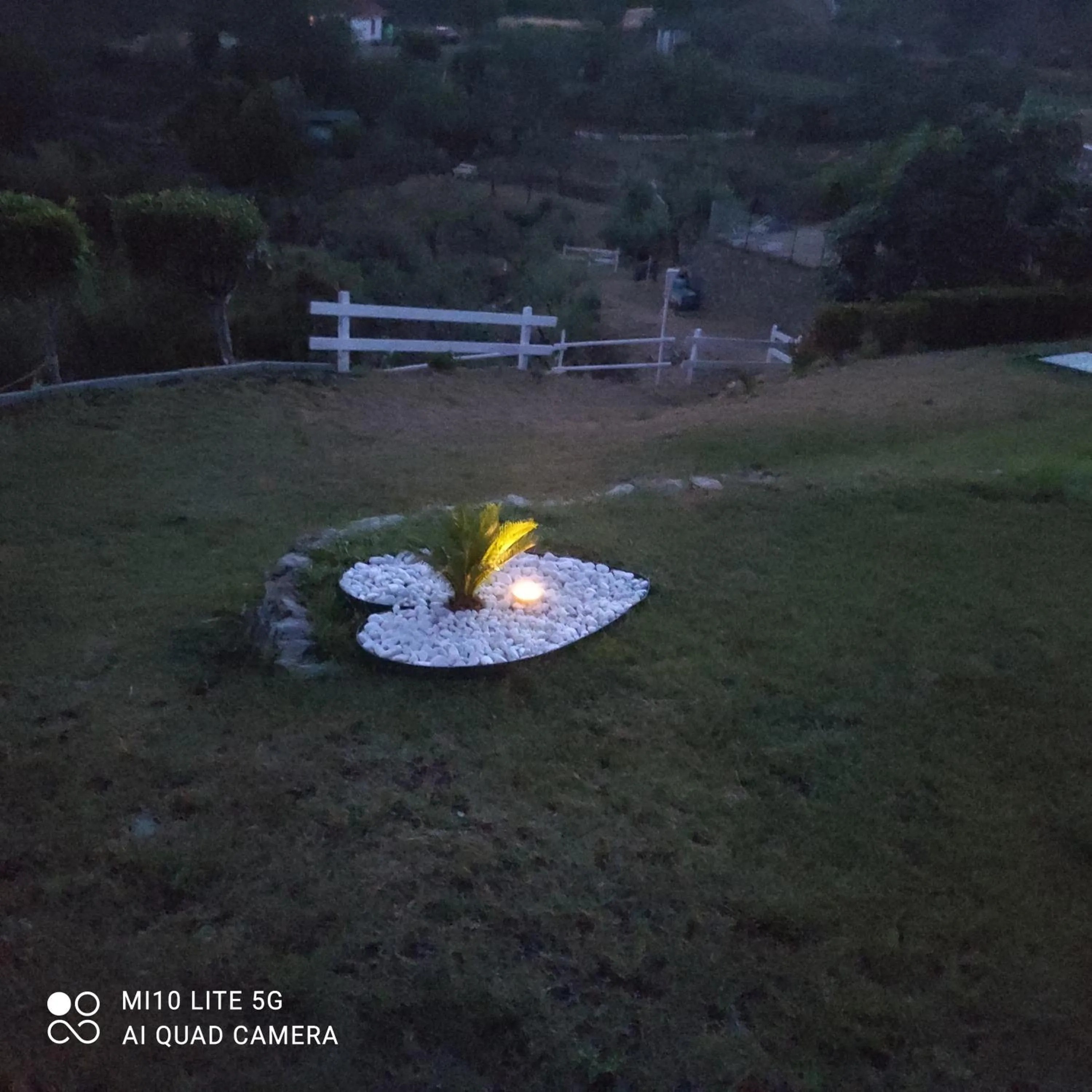 Garden in Agrifazenda