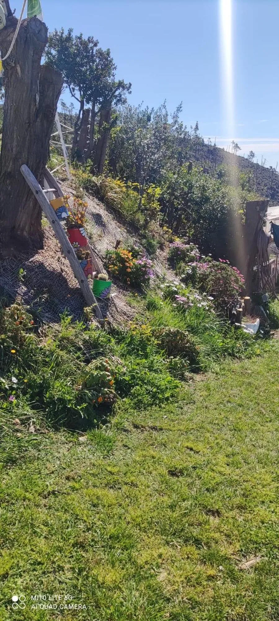 Garden in Agrifazenda