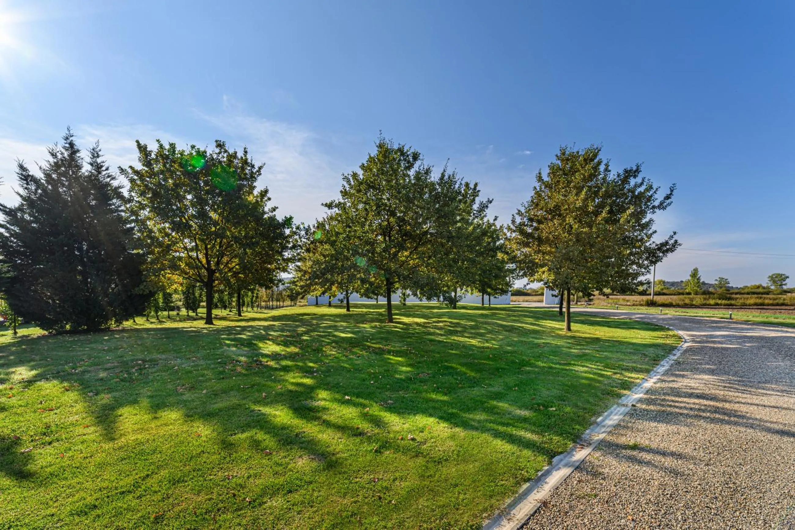 Garden in Stejarii Resort