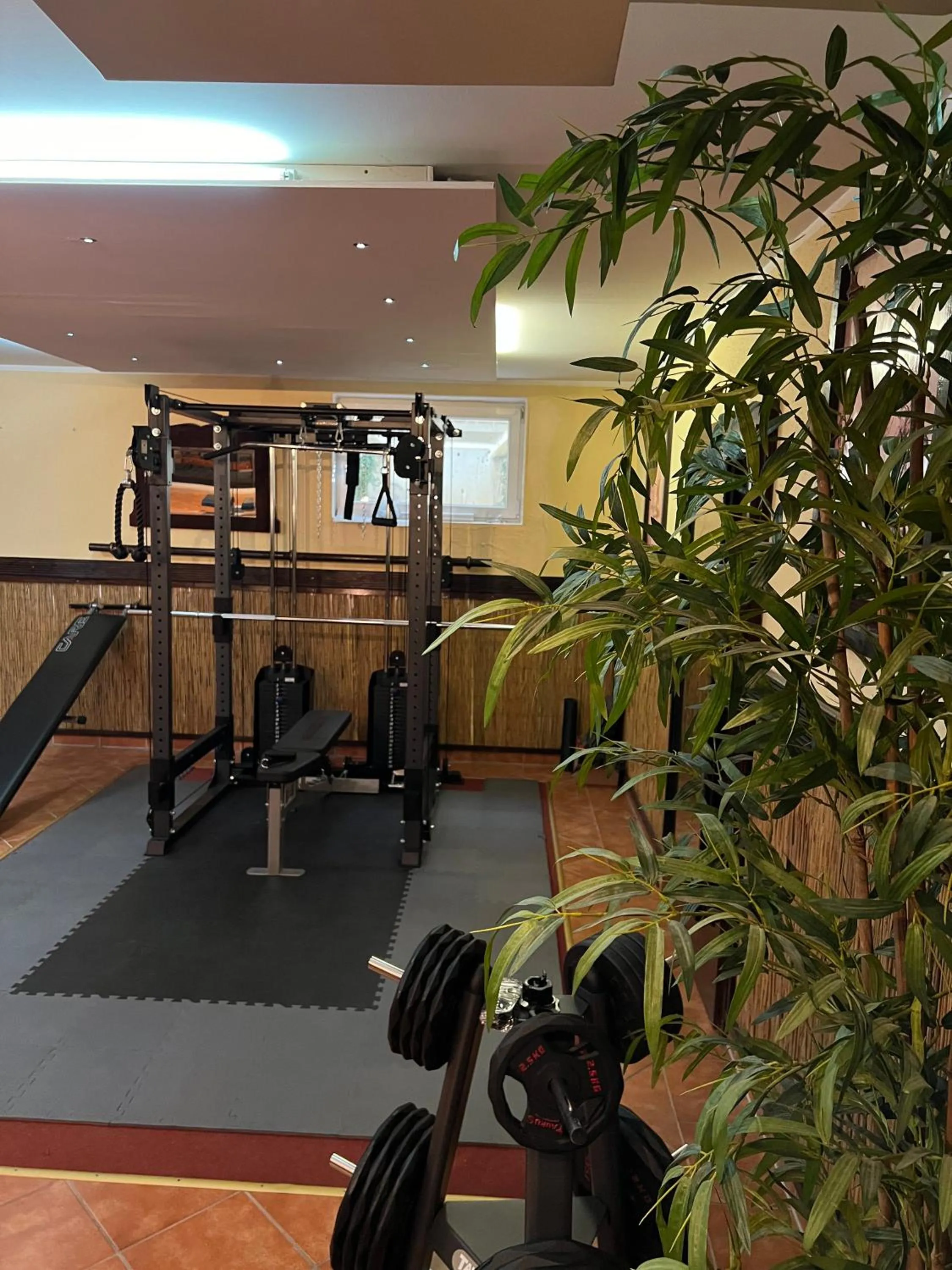 Fitness centre/facilities in Runas Air Muc Park Sleep & Fly