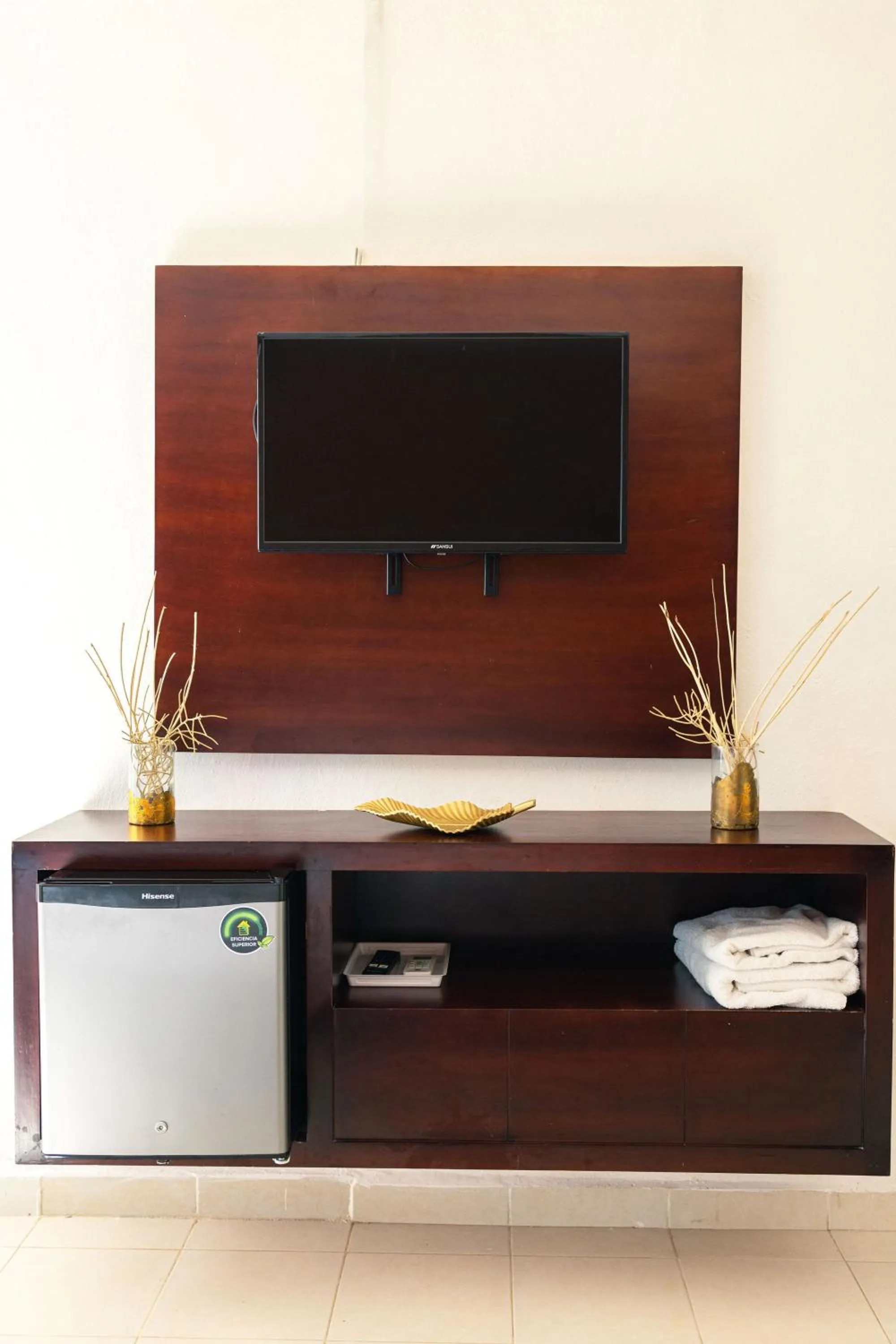 TV and multimedia in HOTEL & BEACH CLUB OJO DE AGUA