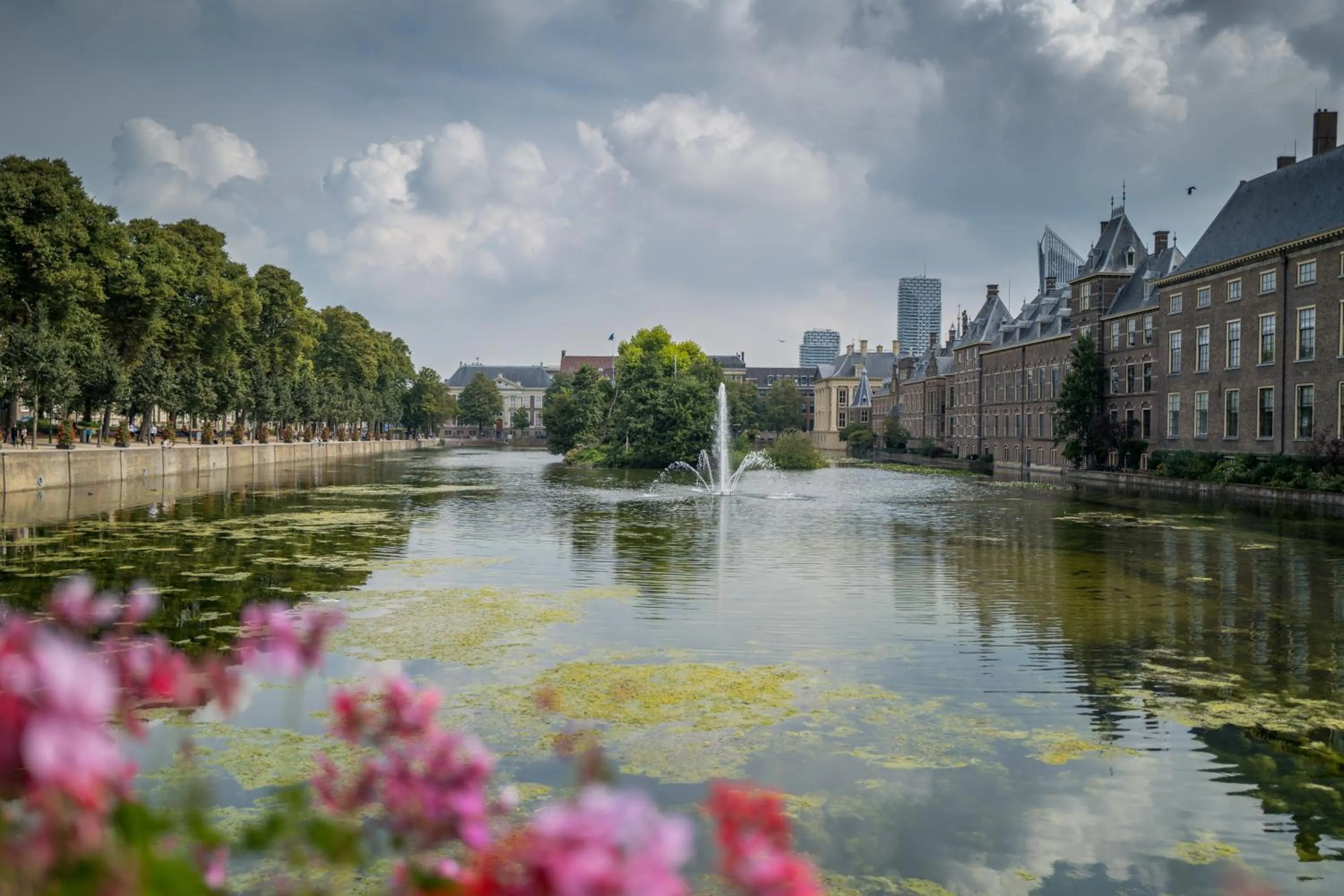 Area and facilities in The Velvet Lodge