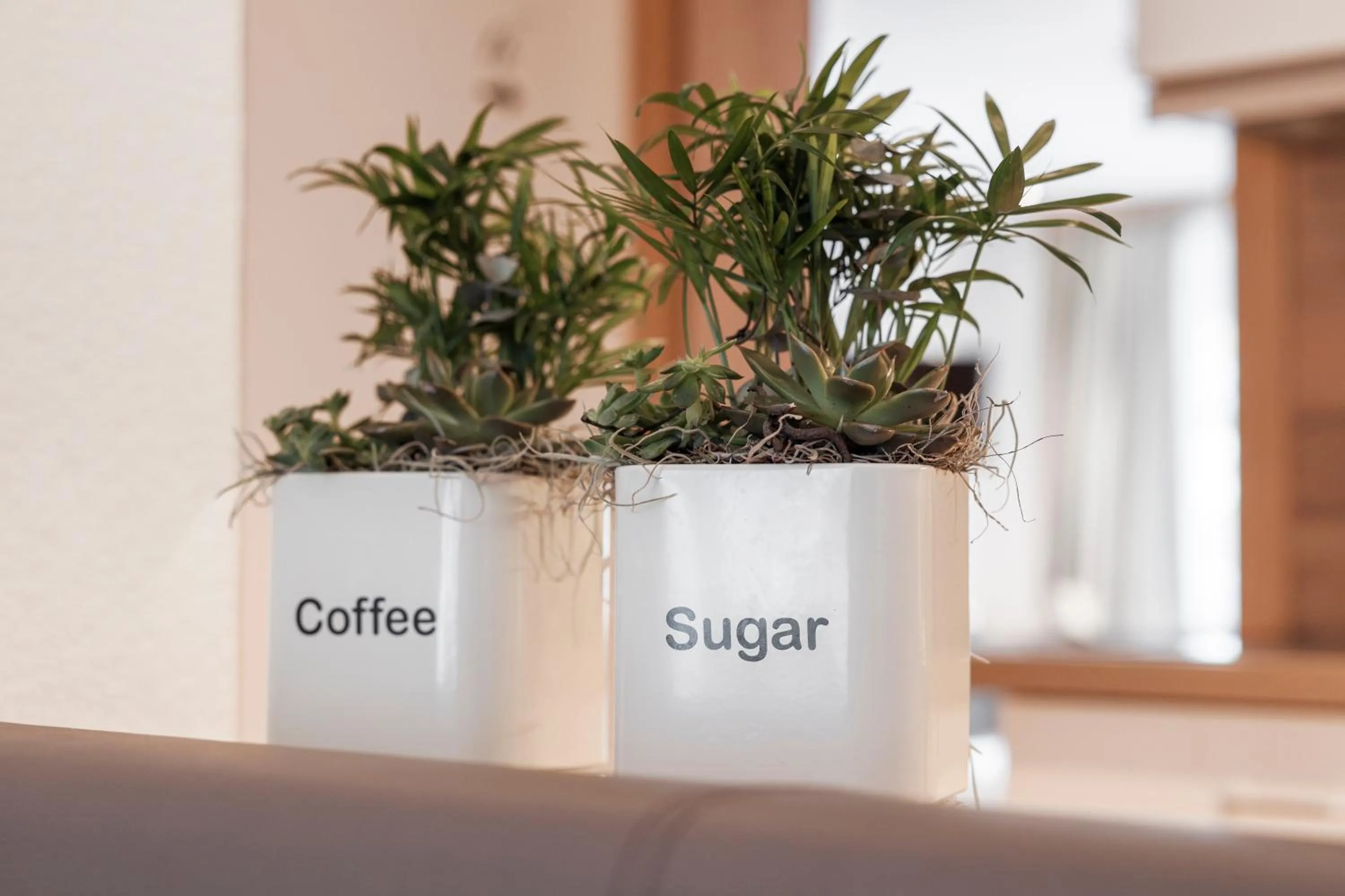 SCHMID Rooms & Apartments