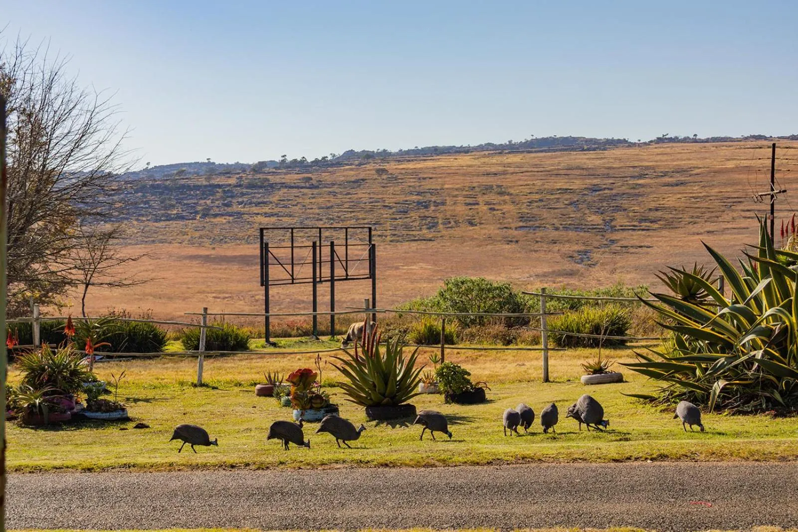 Natural landscape in Westlodge at Graskop B&B