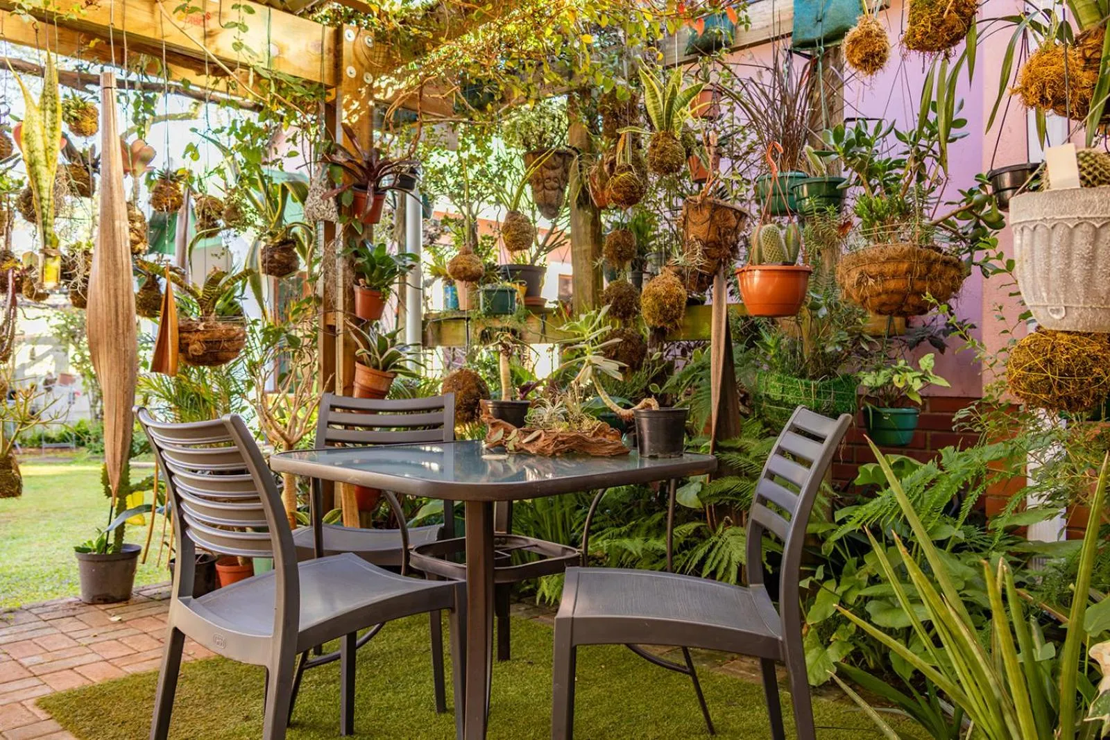 Patio in Westlodge at Graskop B&B