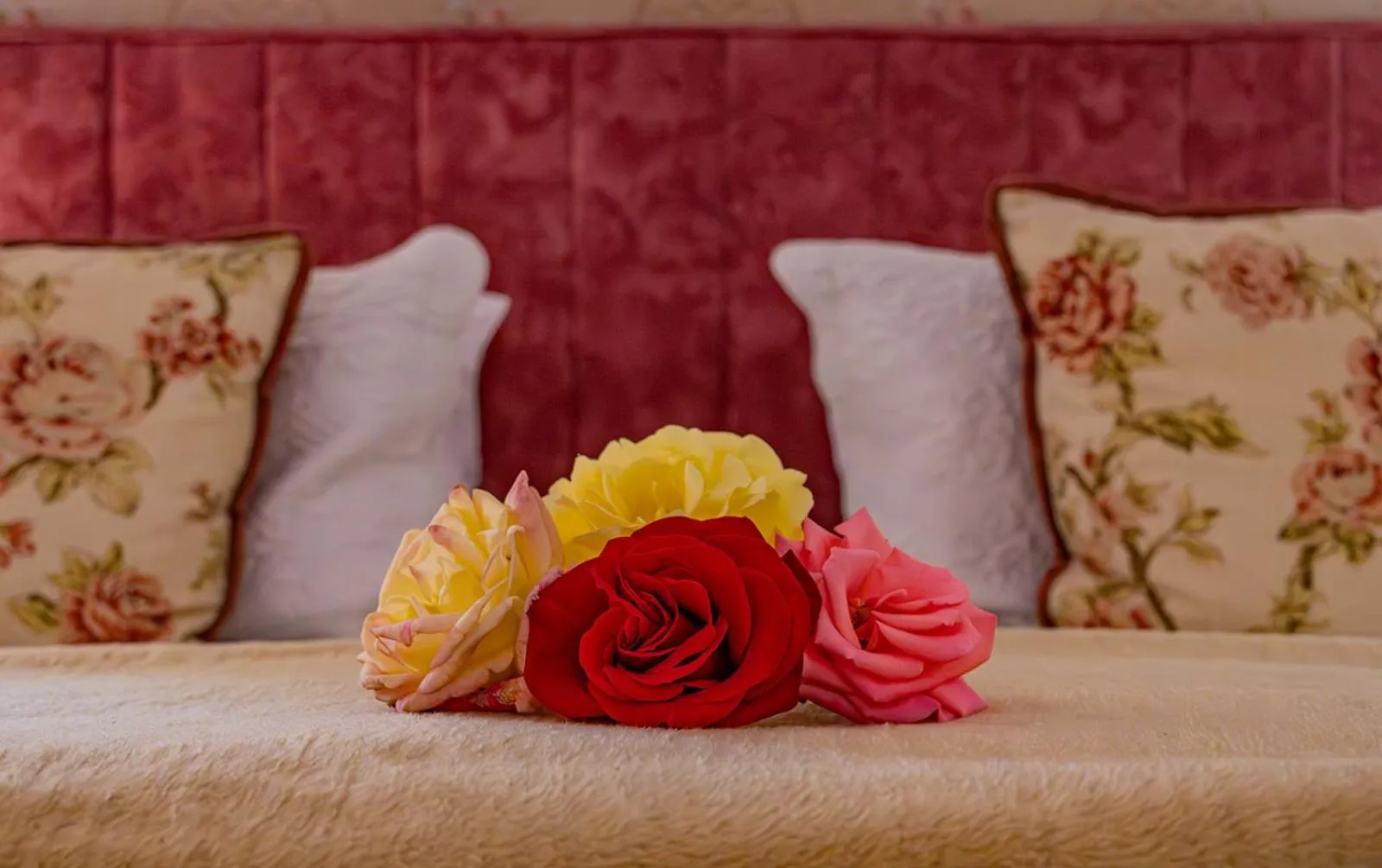 Bed in Westlodge at Graskop B&B