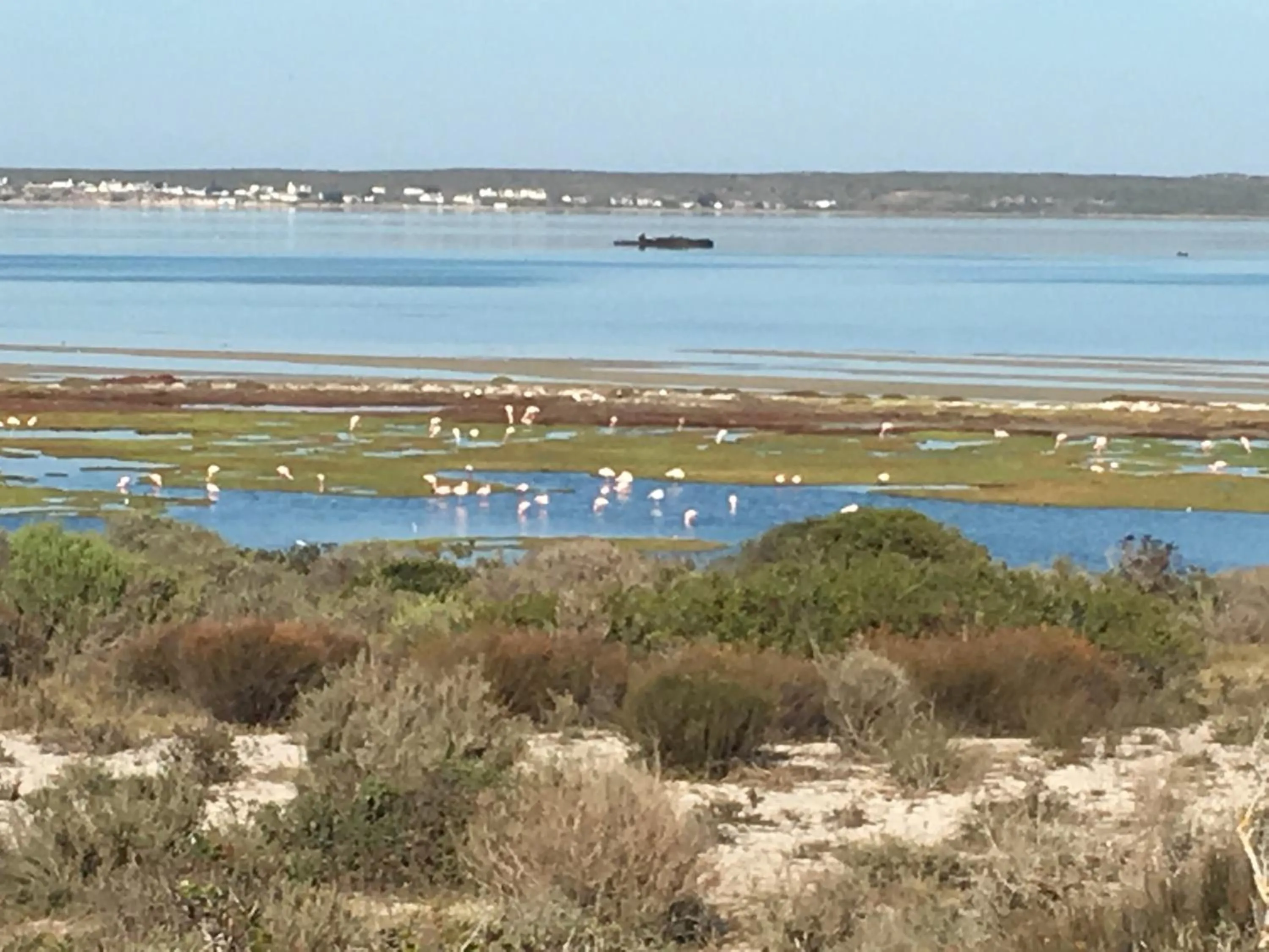 Natural landscape in Sandra's Guest House