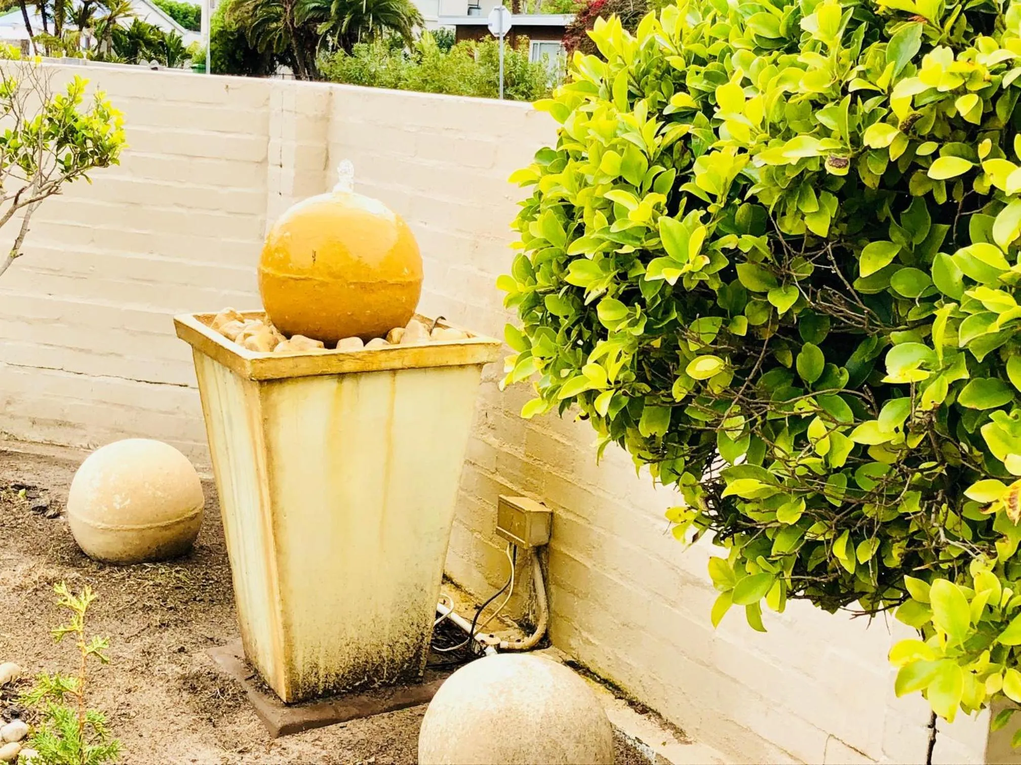 Garden in Sandra's Guest House