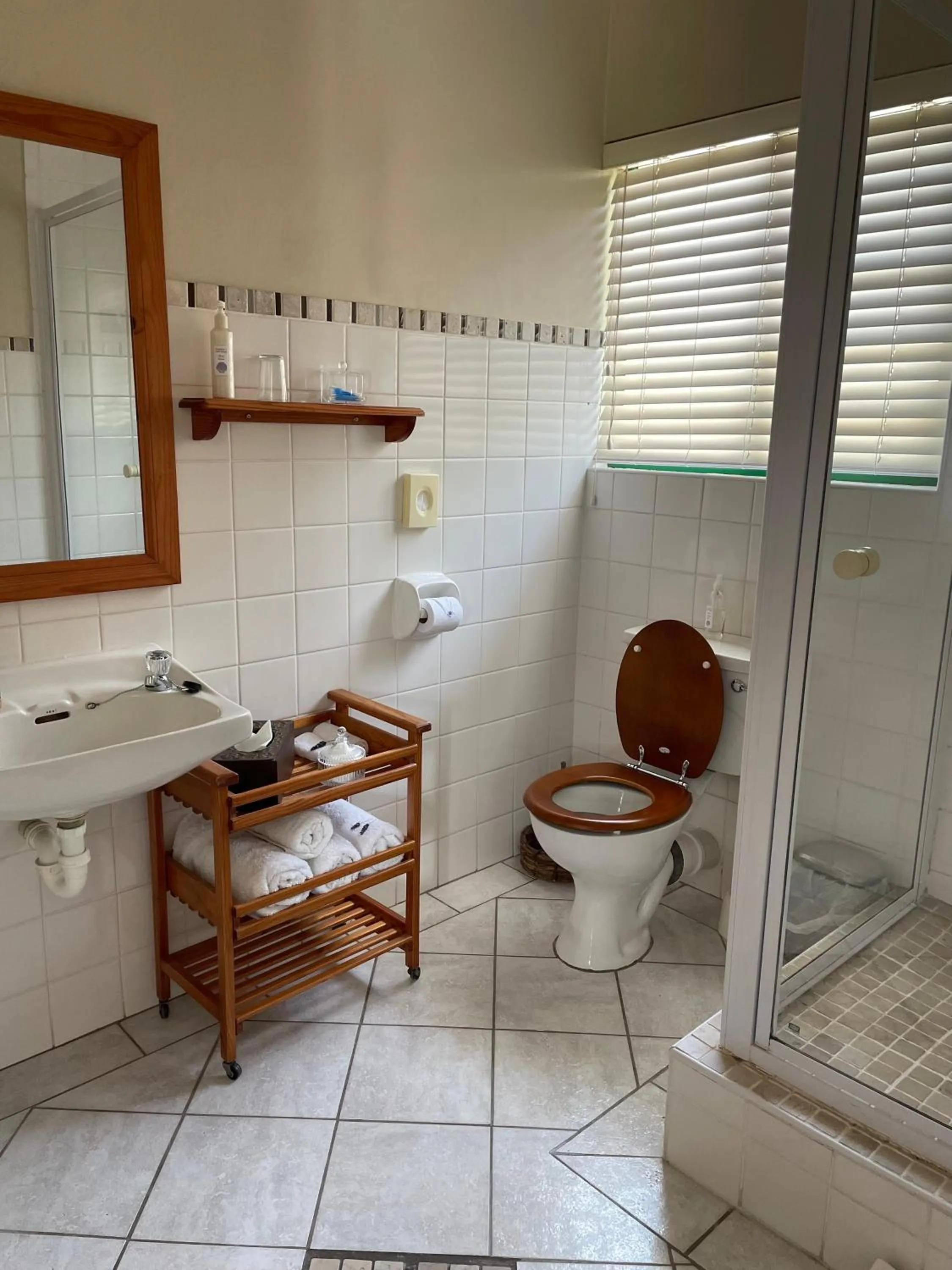 Shower in Sandra's Guest House