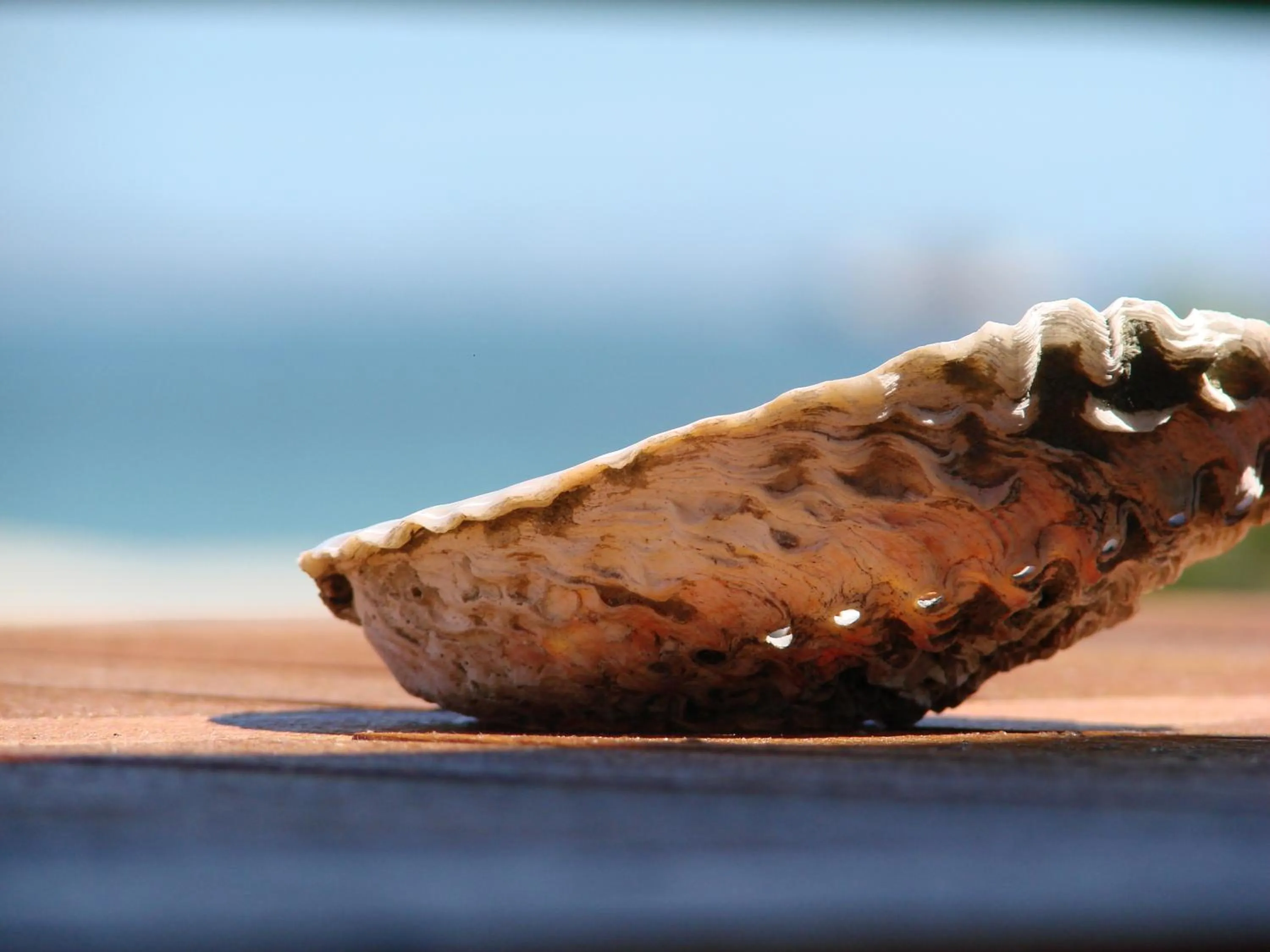 Decorative detail in Sandra's Guest House