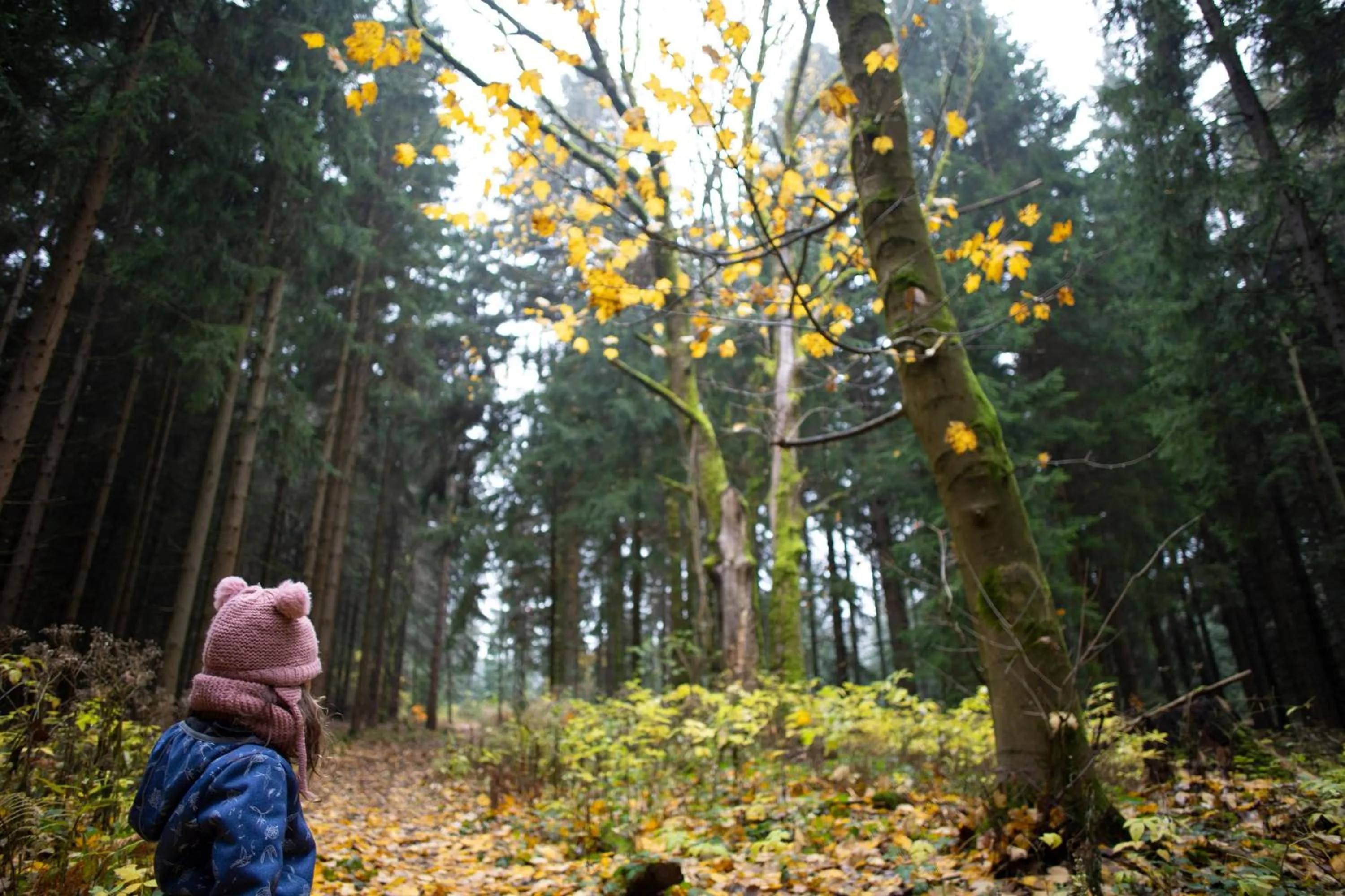 Off site in Amenity Hotel & Resort Orlické hory