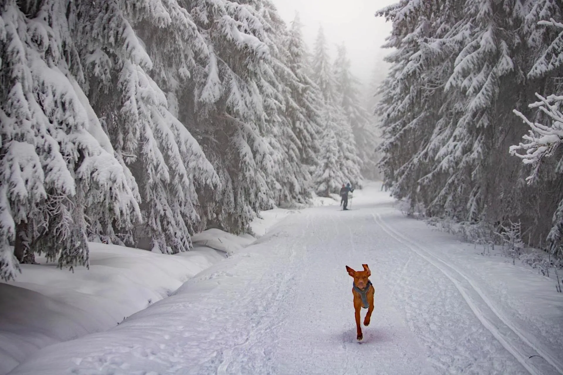 Winter in Amenity Hotel & Resort Orlické hory