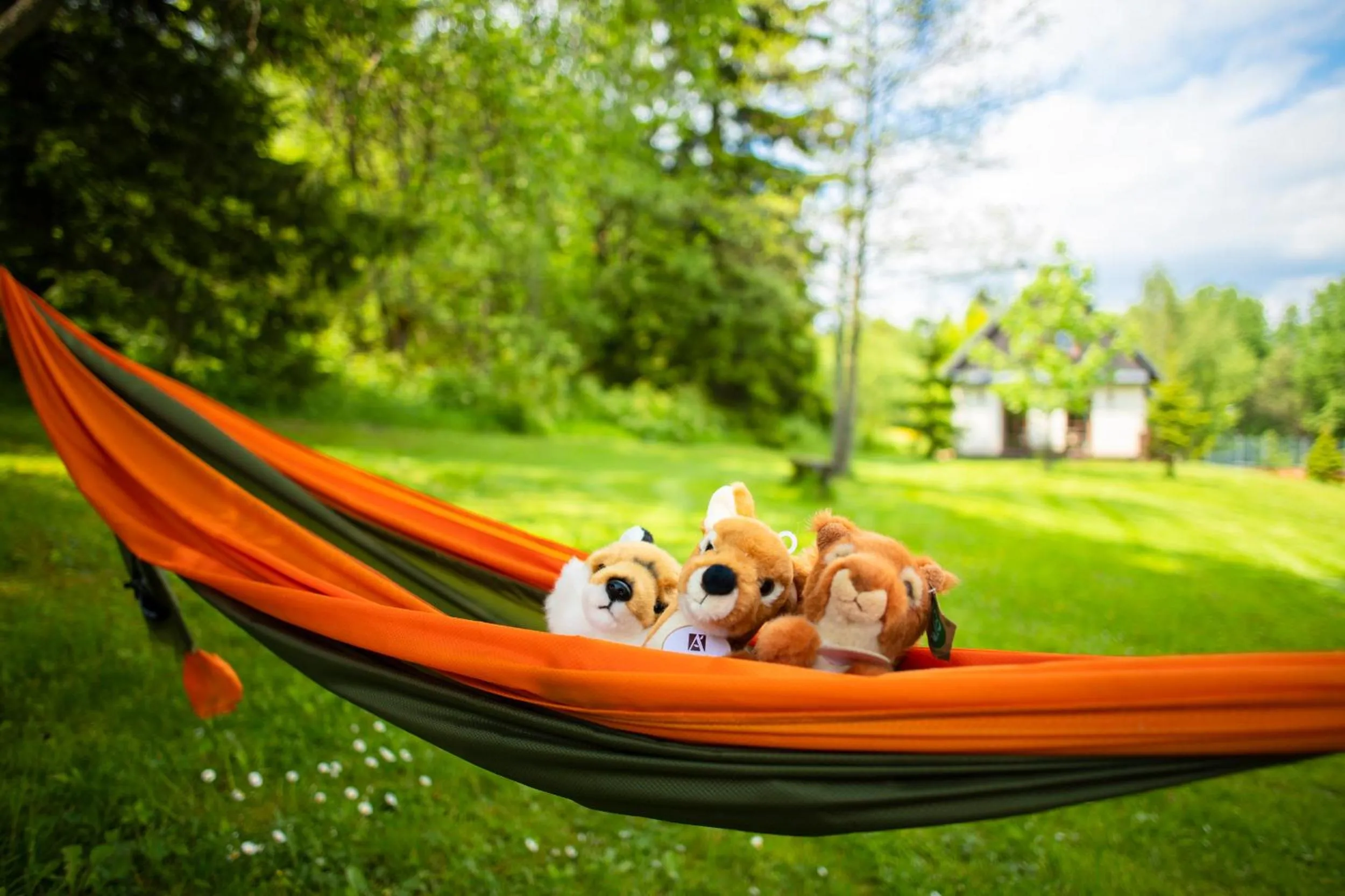 Activities in Amenity Hotel & Resort Orlické hory