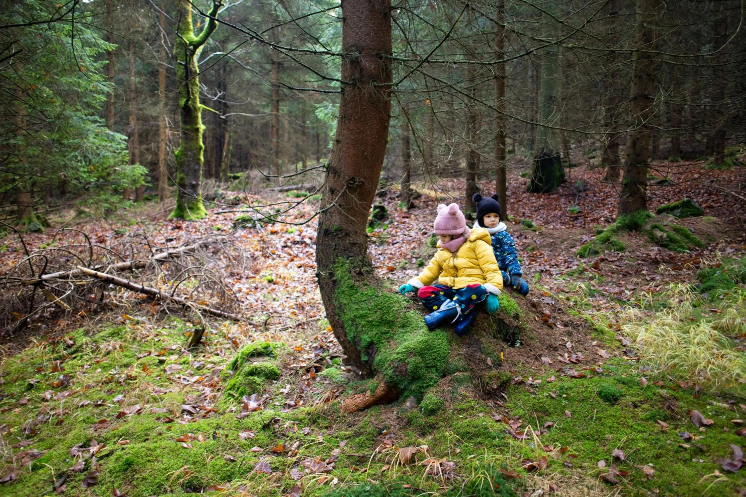 Off site in Amenity Hotel & Resort Orlické hory