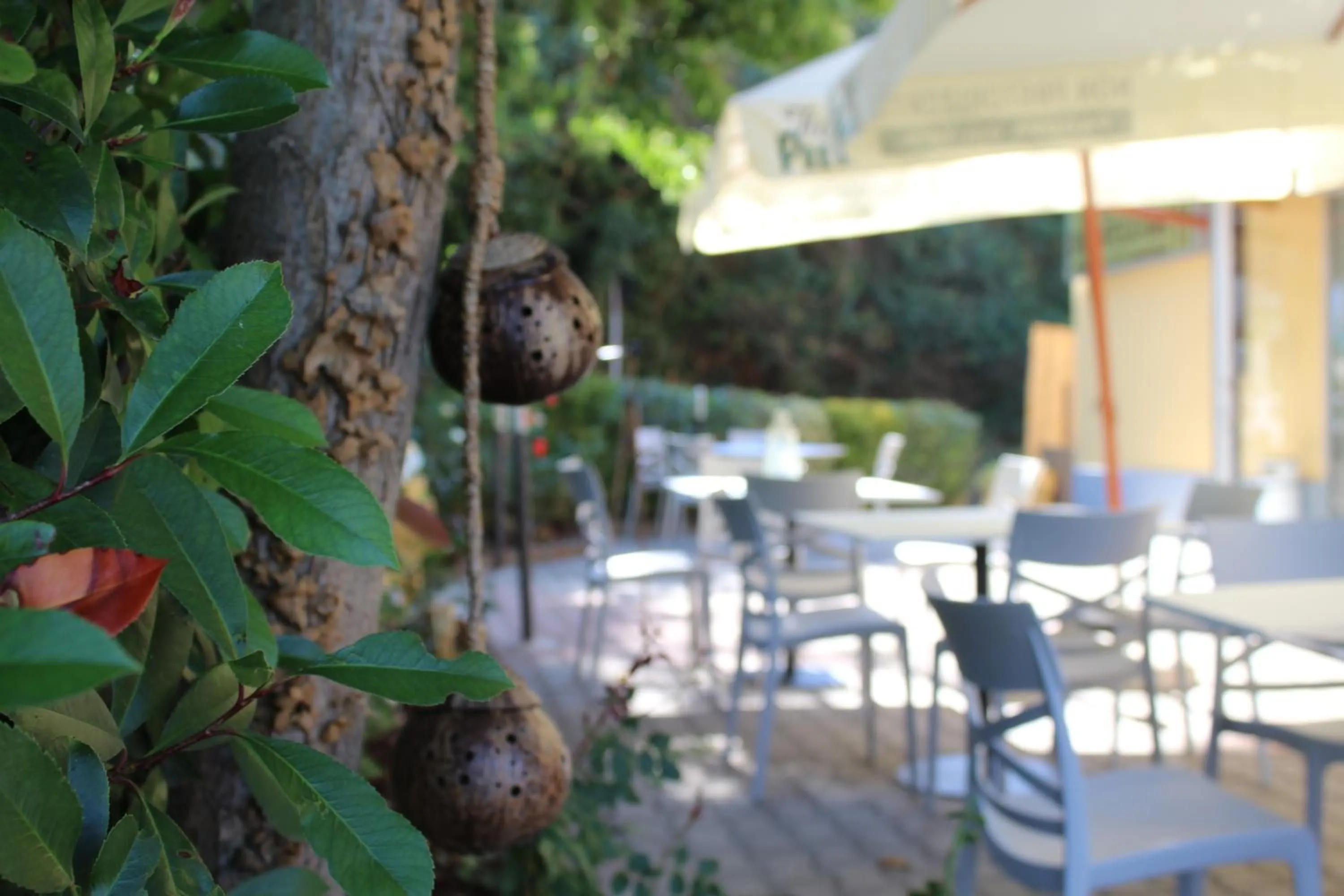Garden in La Locanda di Montecatone
