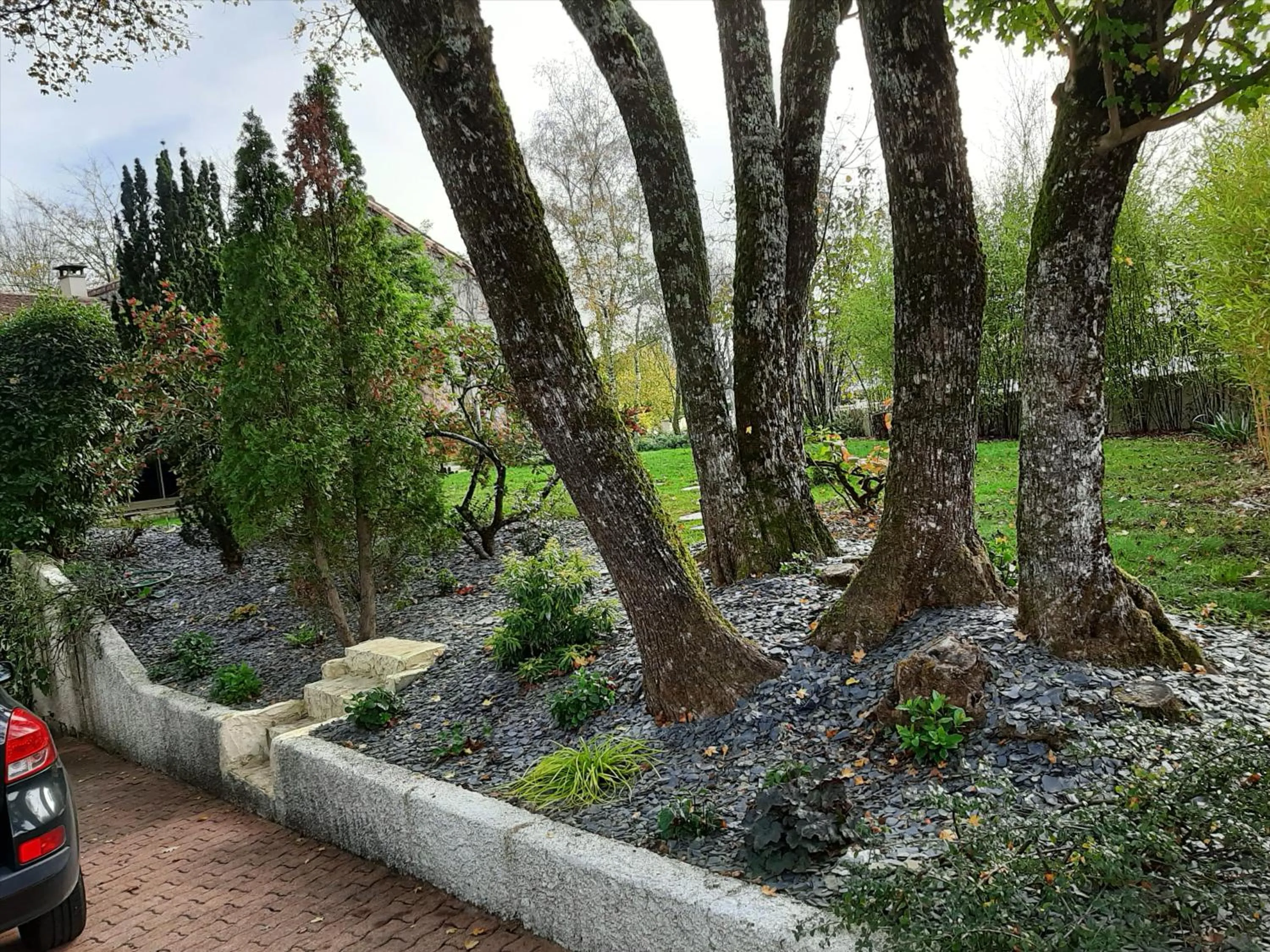 Natural landscape in SAKURA