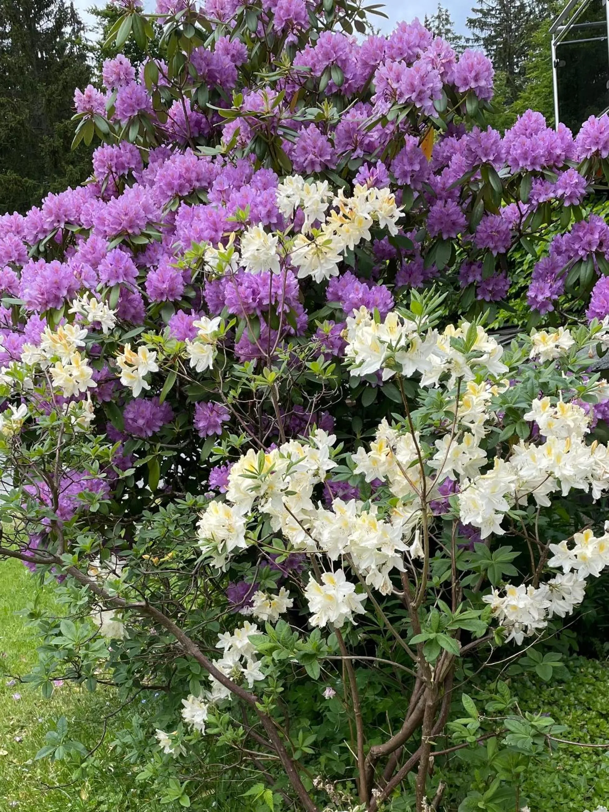 Property building in Hotel Barbara