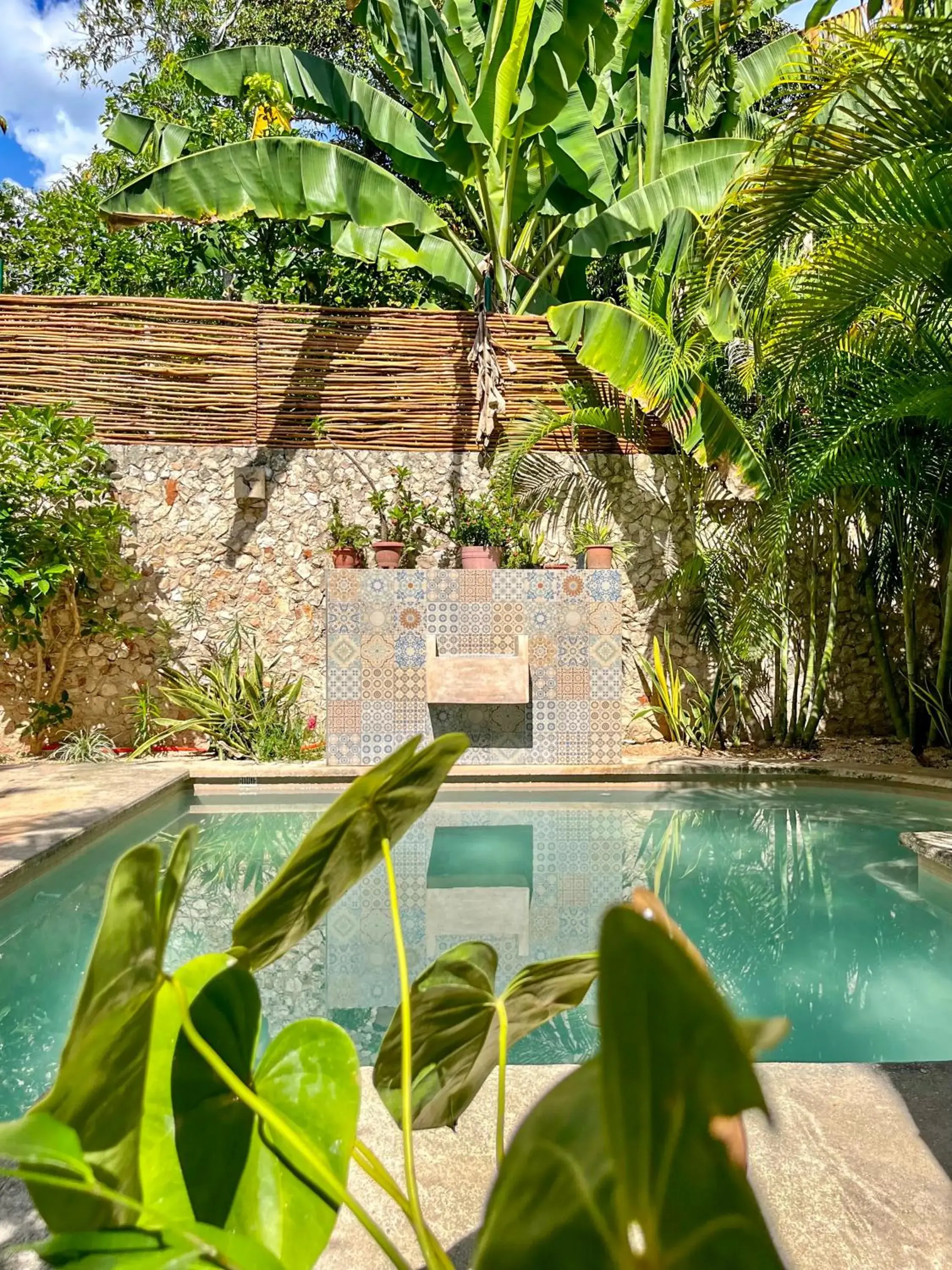 Ariché Valladolid Hotel & Hostal Ariché Valladolid Hotel & Hostal