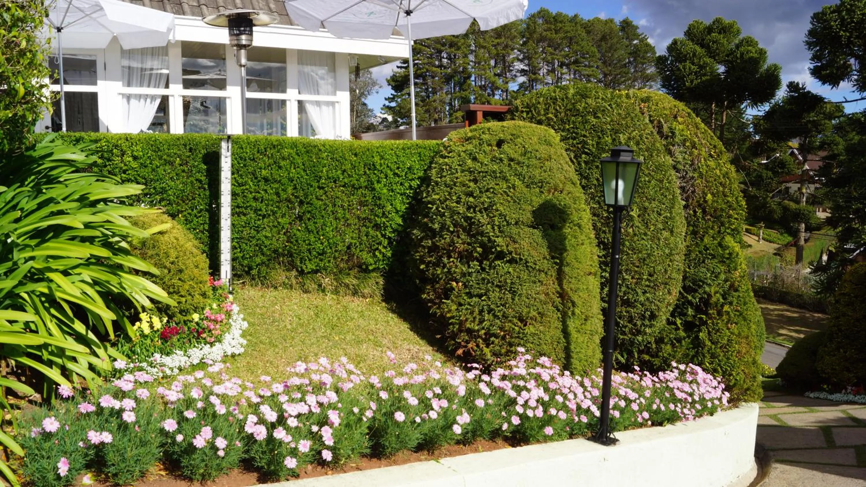 Garden in Pousada Chateau Colinas