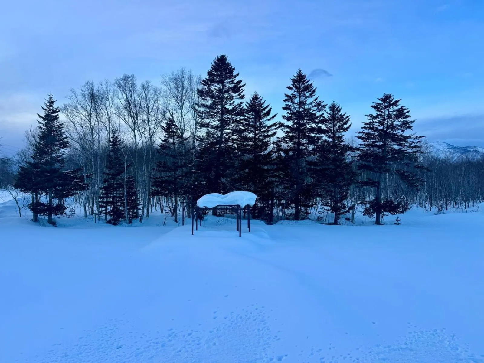 Natural landscape in Hotel Resort Inn Niseko