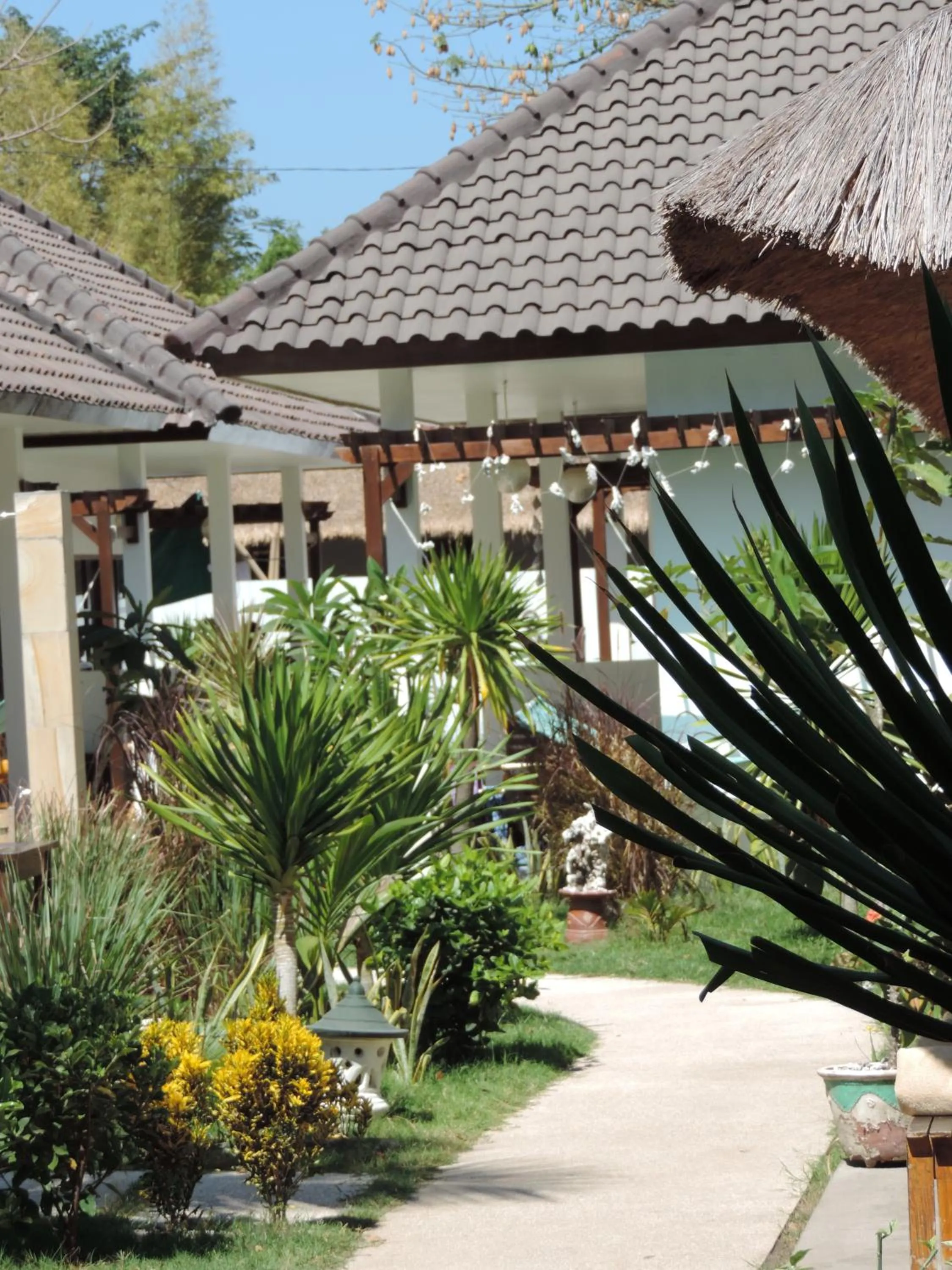 Area and facilities in Casus Dream Hotel