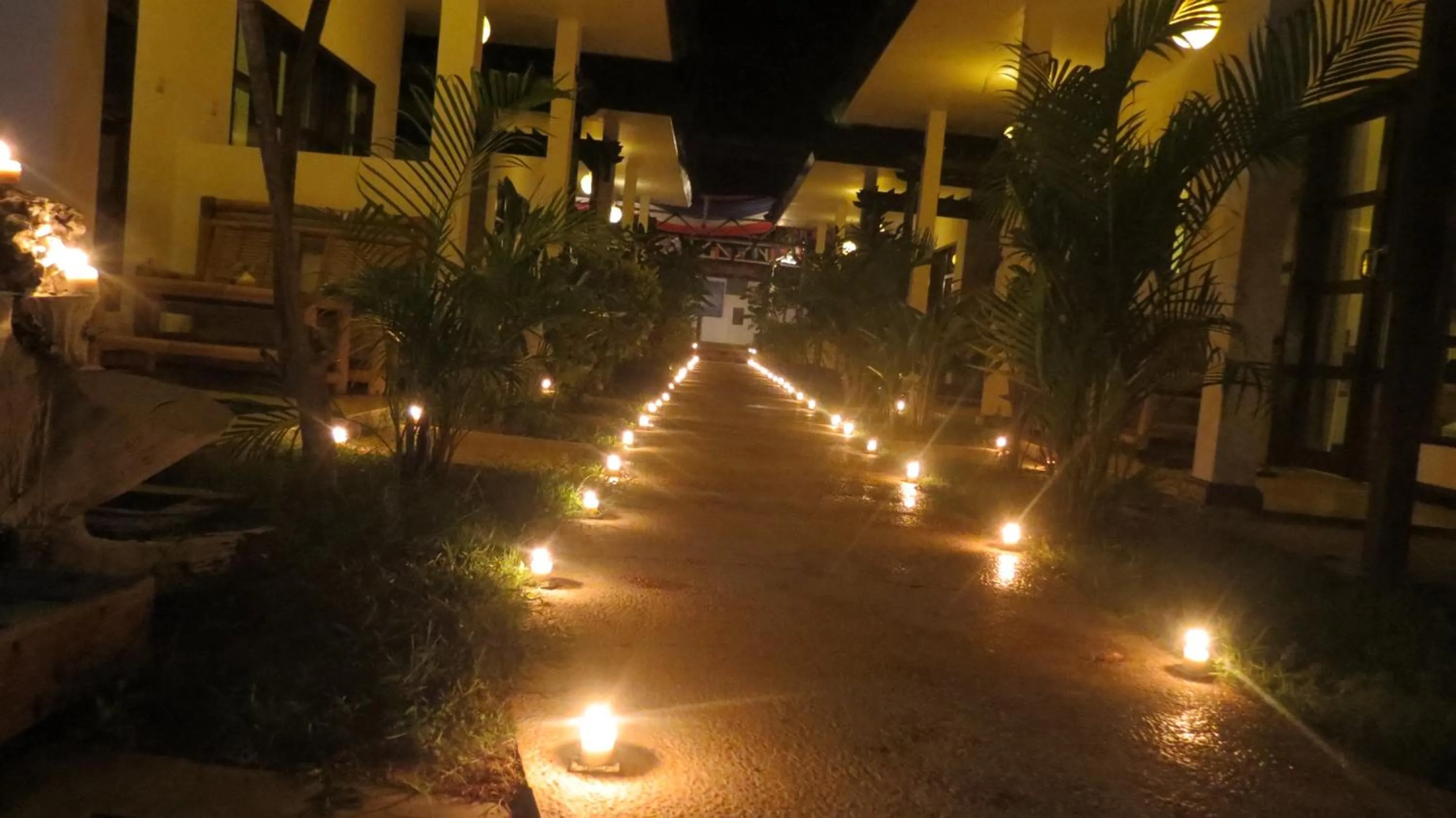 Garden in Casus Dream Hotel