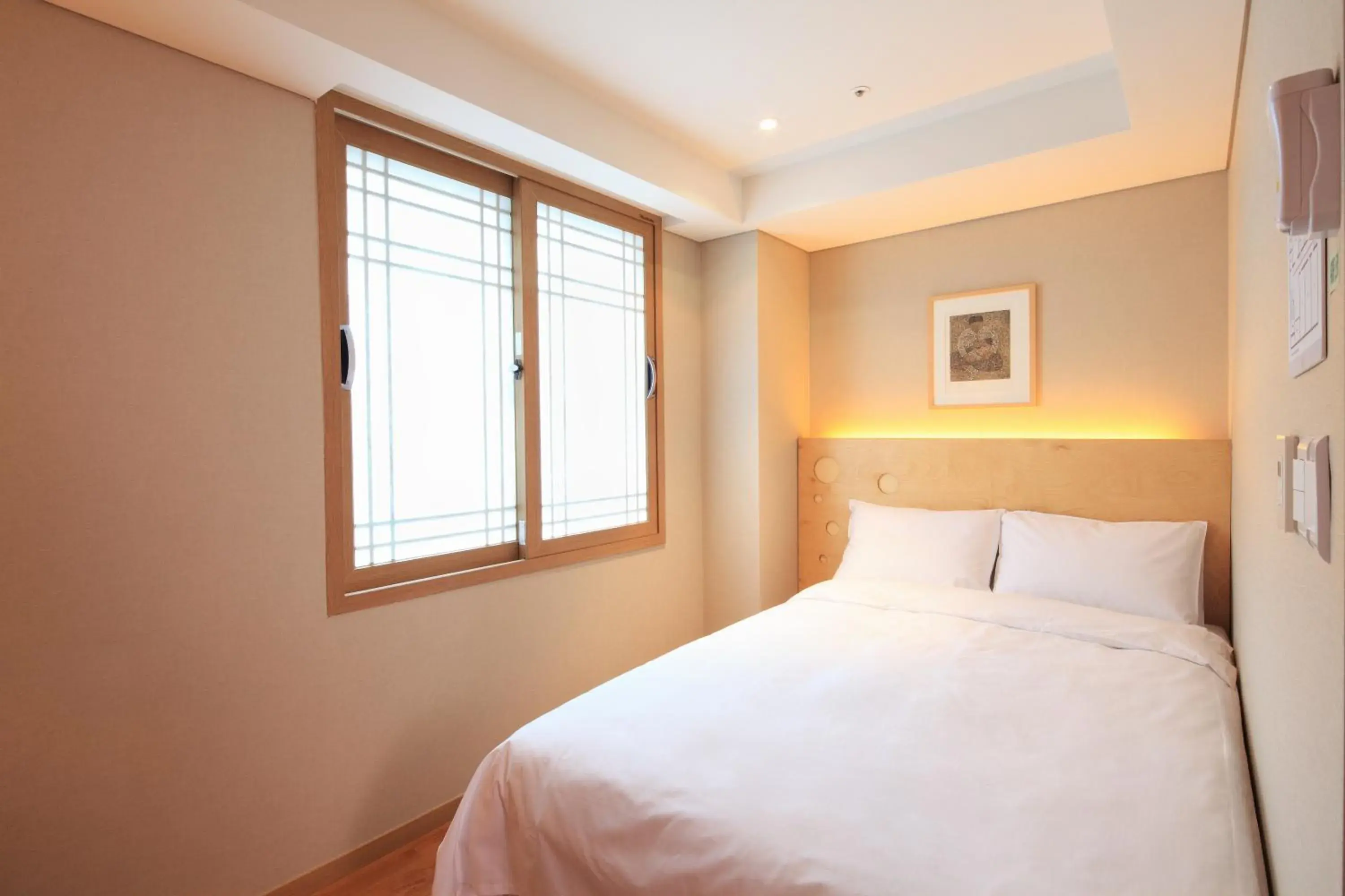 Double Room - single occupancy in Dream House Double Room - single occupancy in Dream House