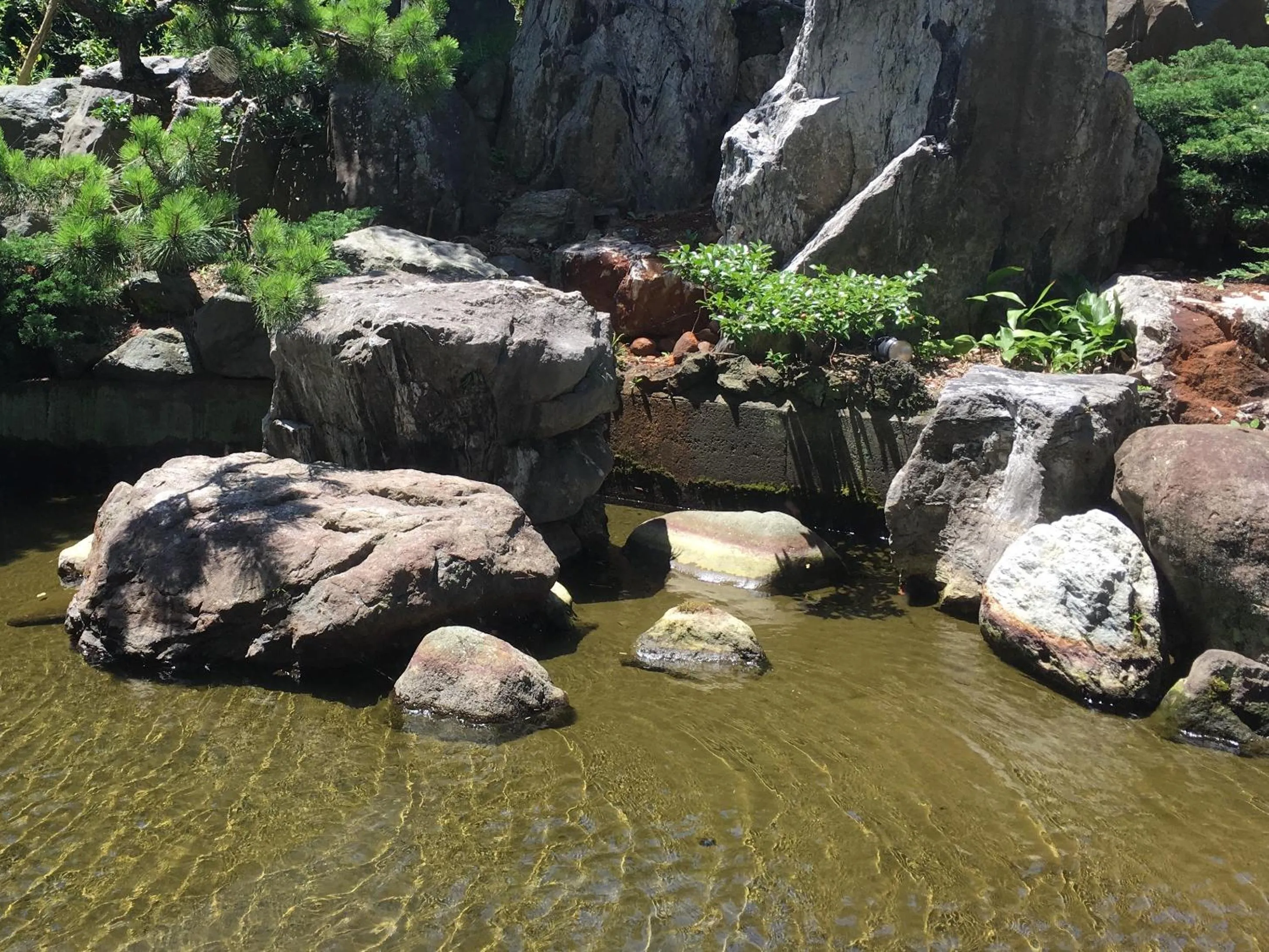 Garden view in Kuretake-INN Omaezaki