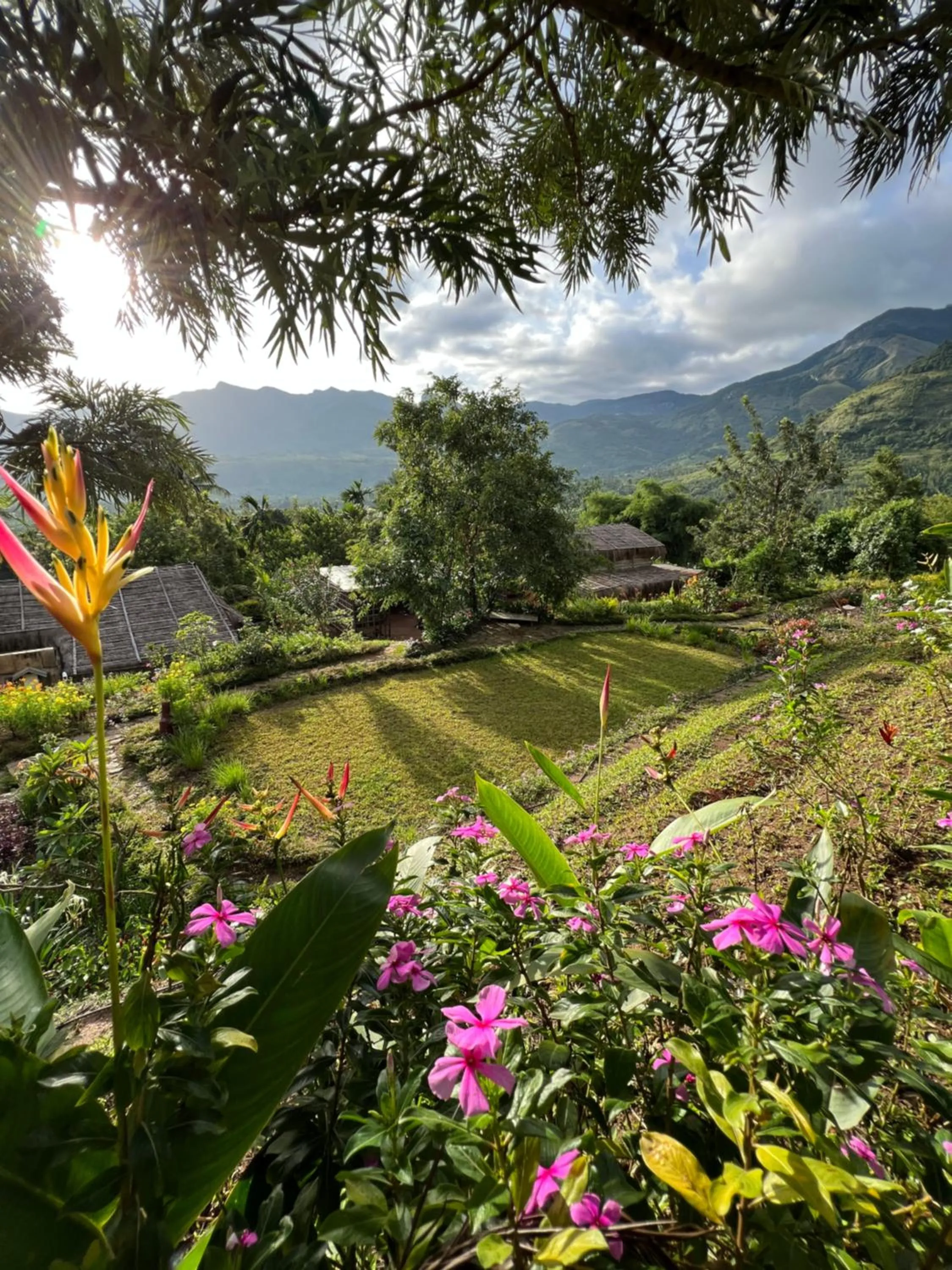 Natural landscape in The Mudhouse Marayoor