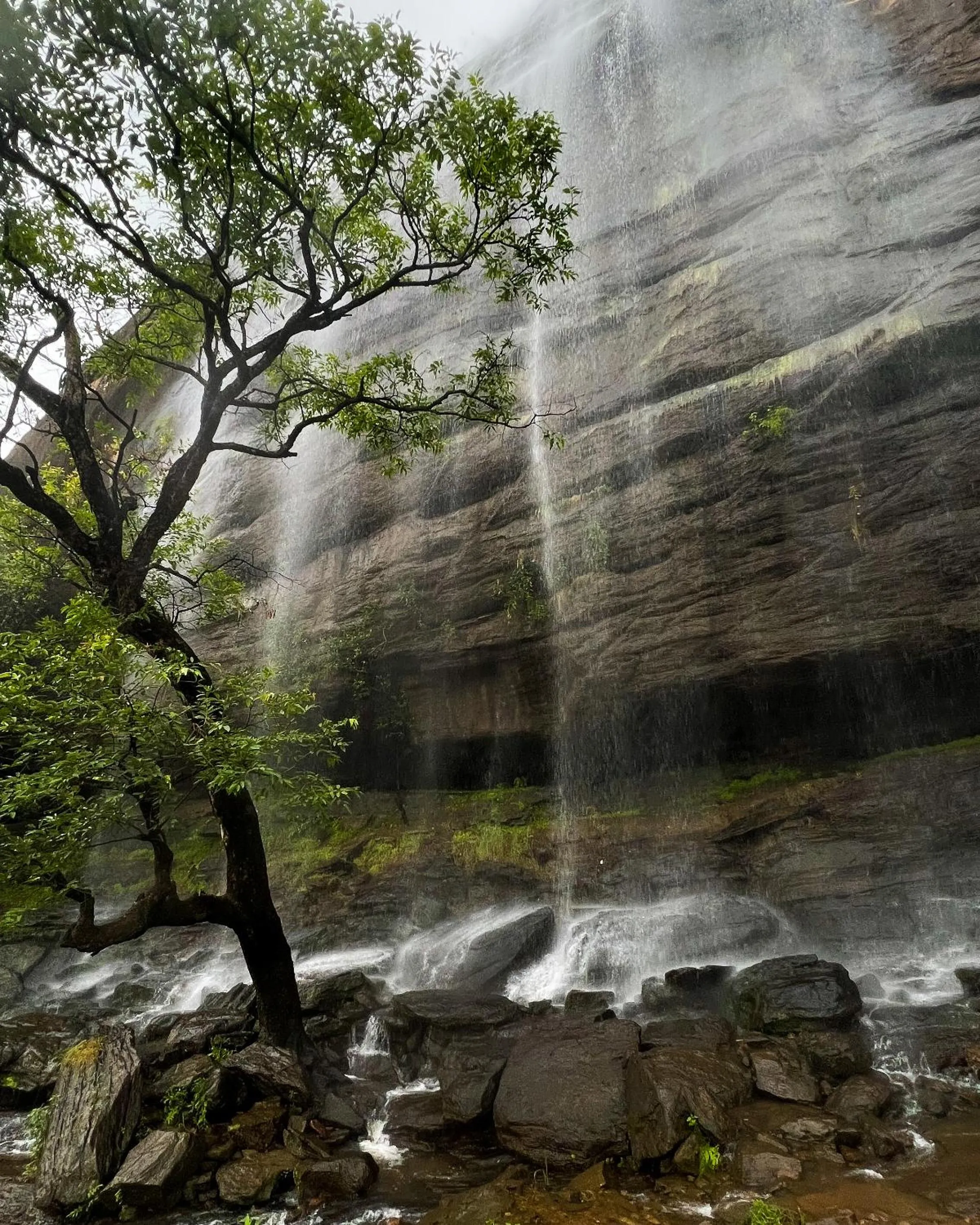 Activities in The Mudhouse Marayoor