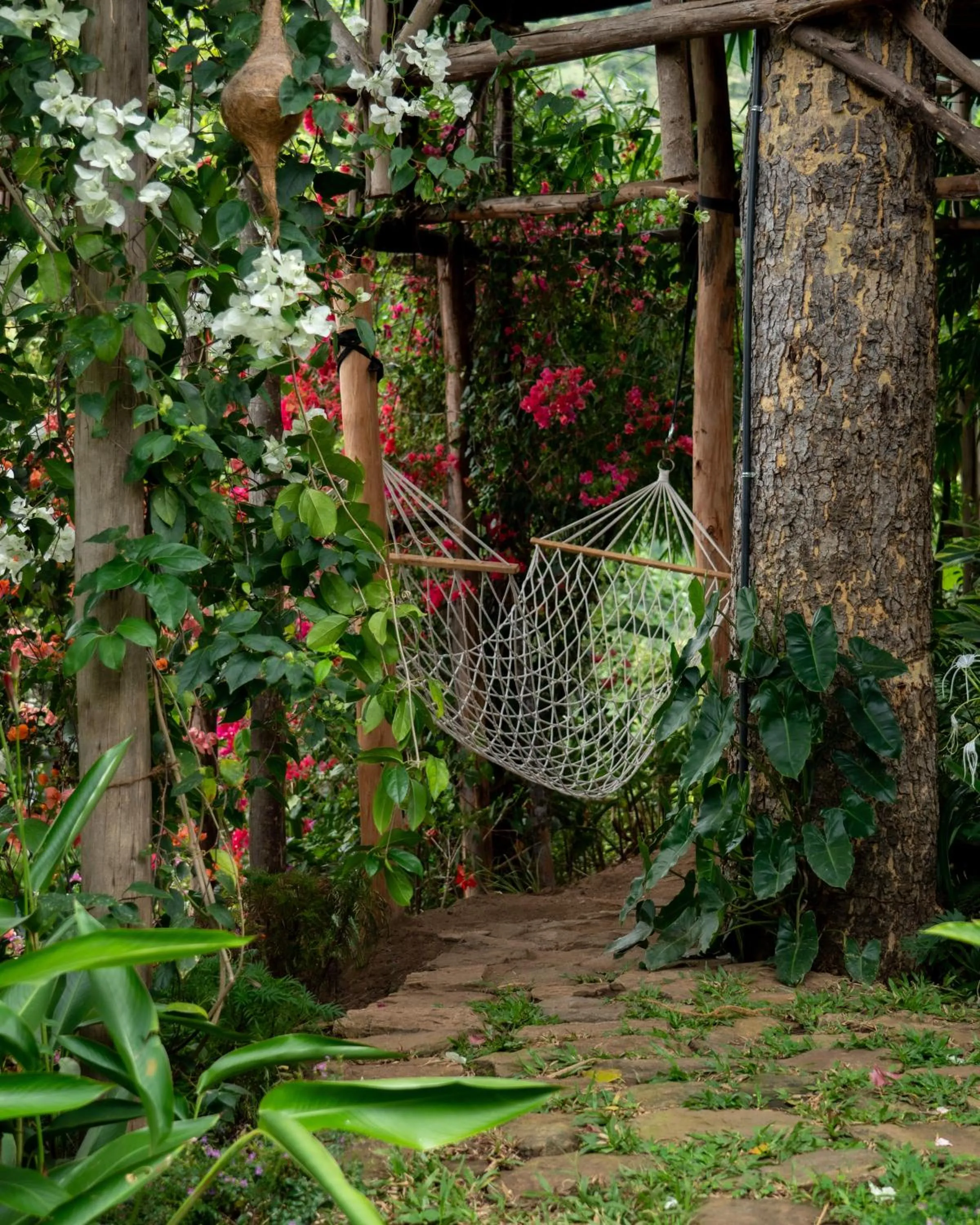 Garden in The Mudhouse Marayoor