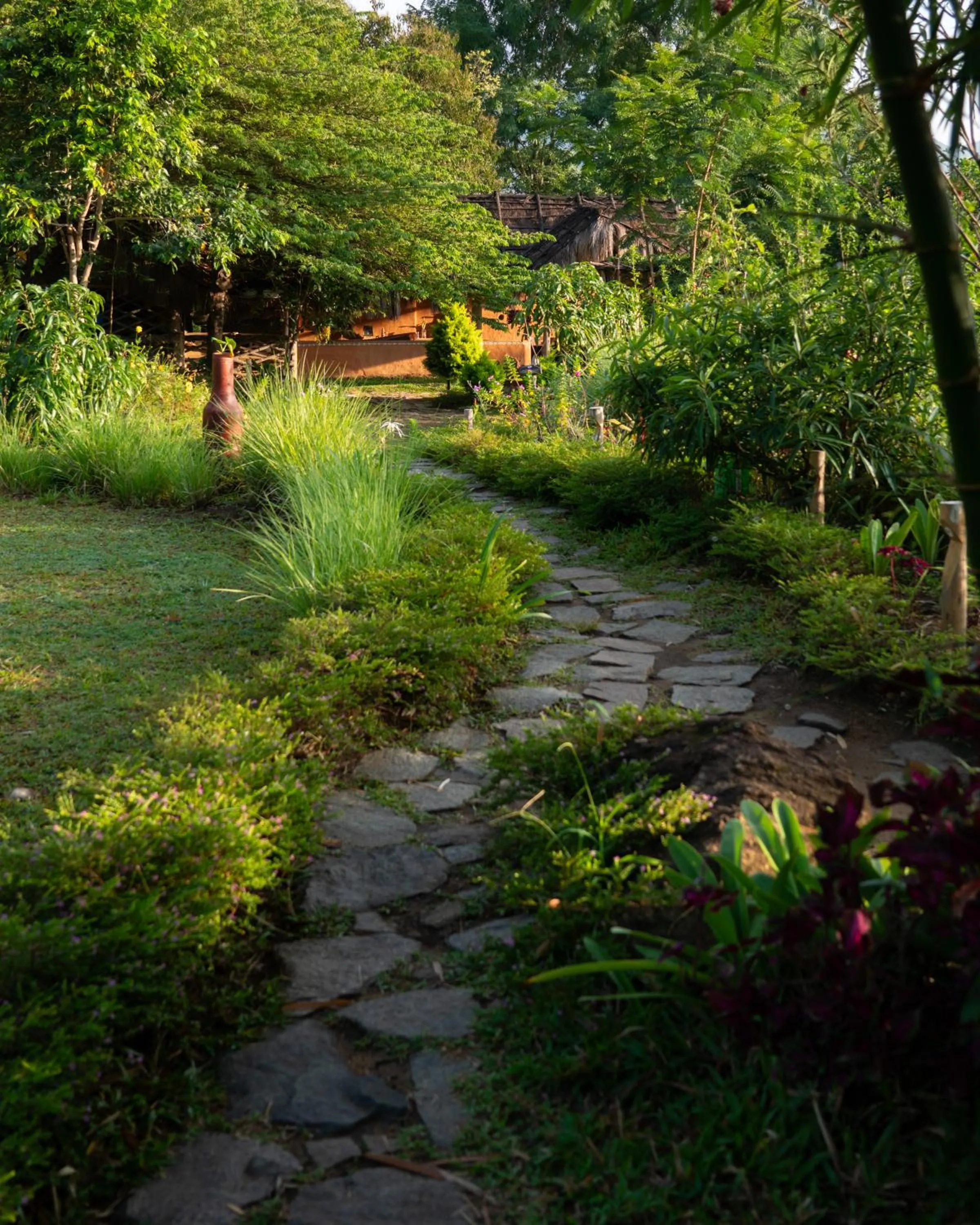 Garden in The Mudhouse Marayoor