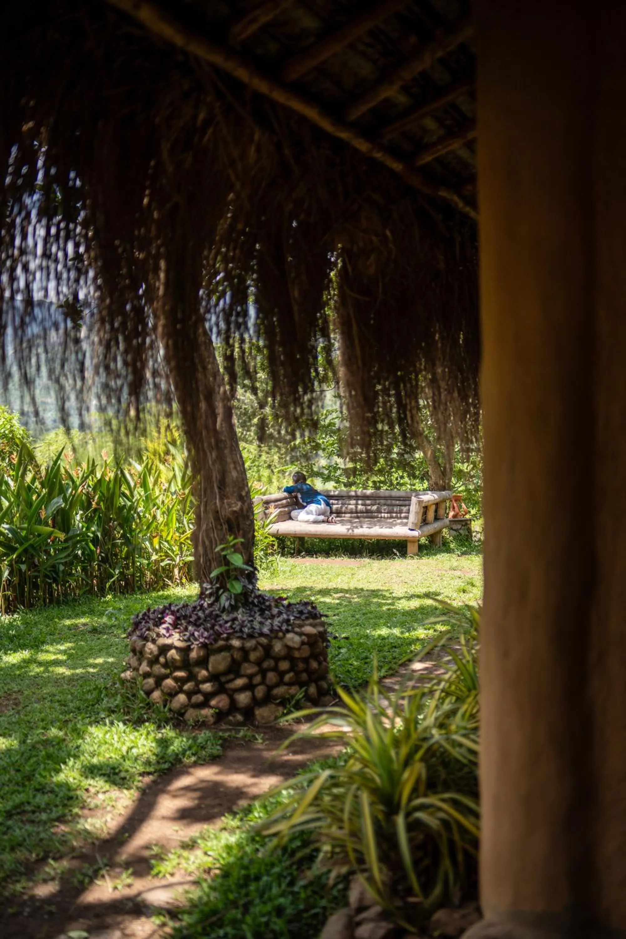 Garden in The Mudhouse Marayoor