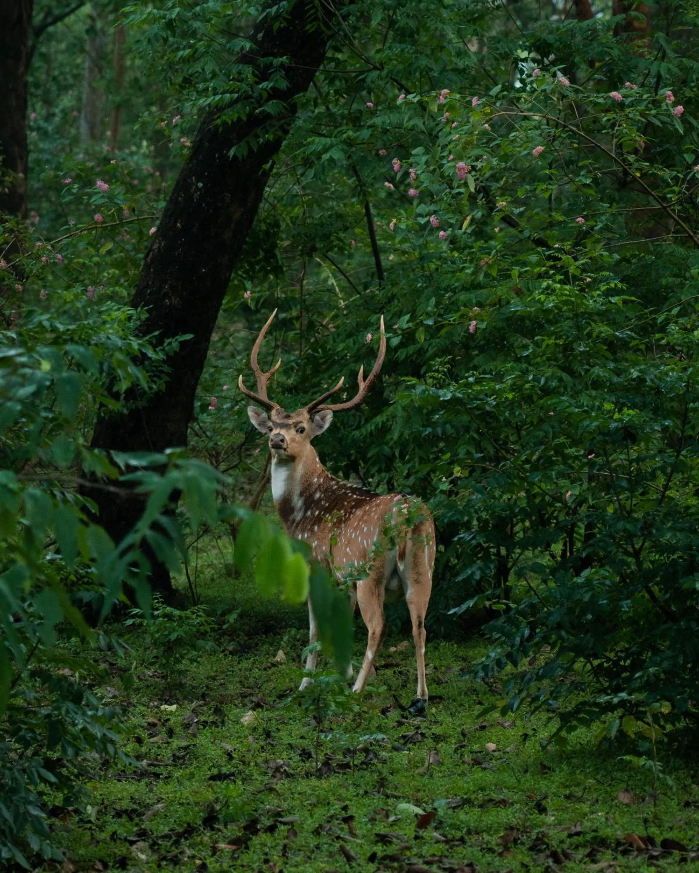 Activities in The Mudhouse Marayoor