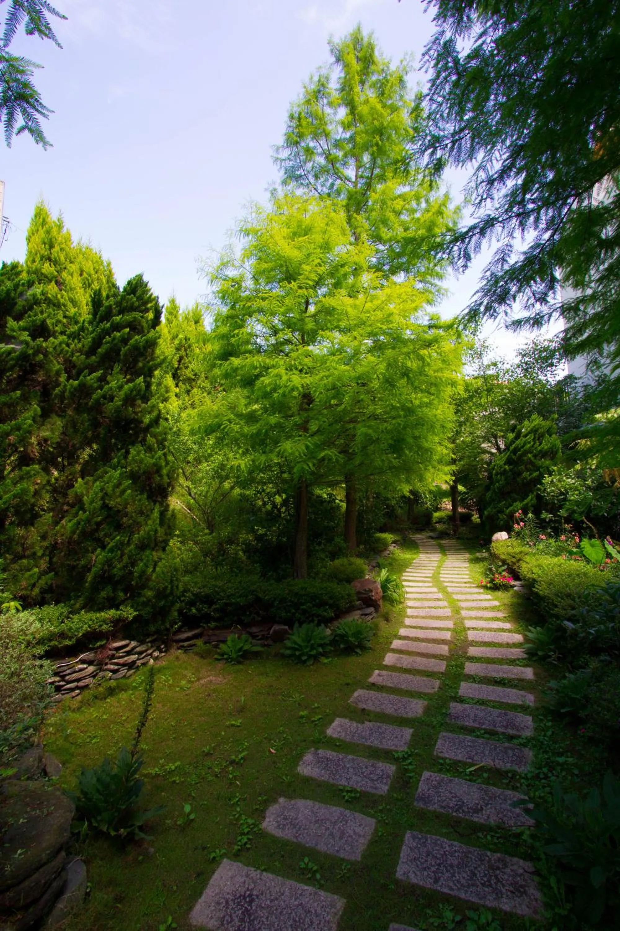 Garden in Yun Wu B&B