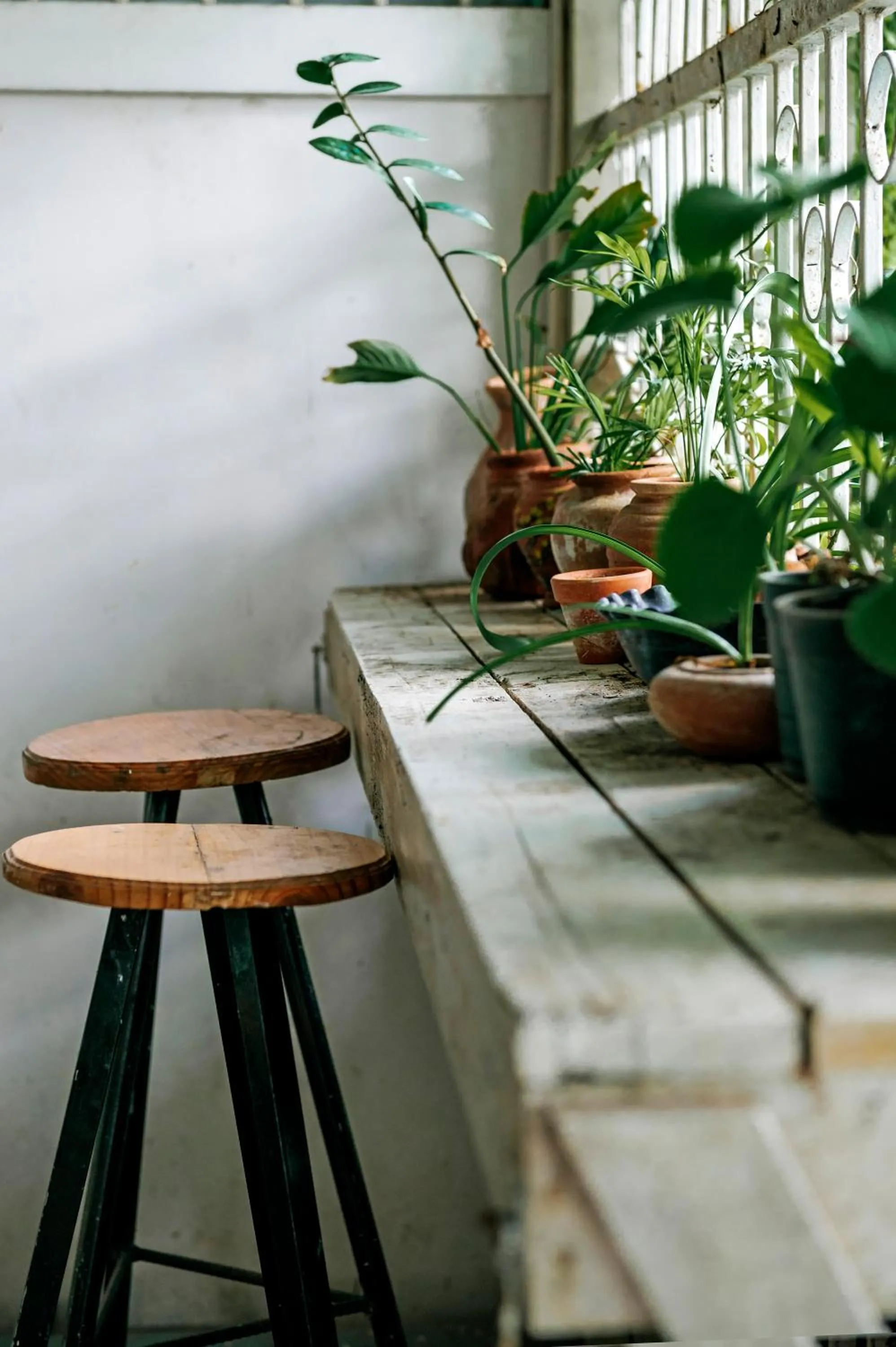Balcony/Terrace in Bụi Hostel - Ferry to Rạch Giá