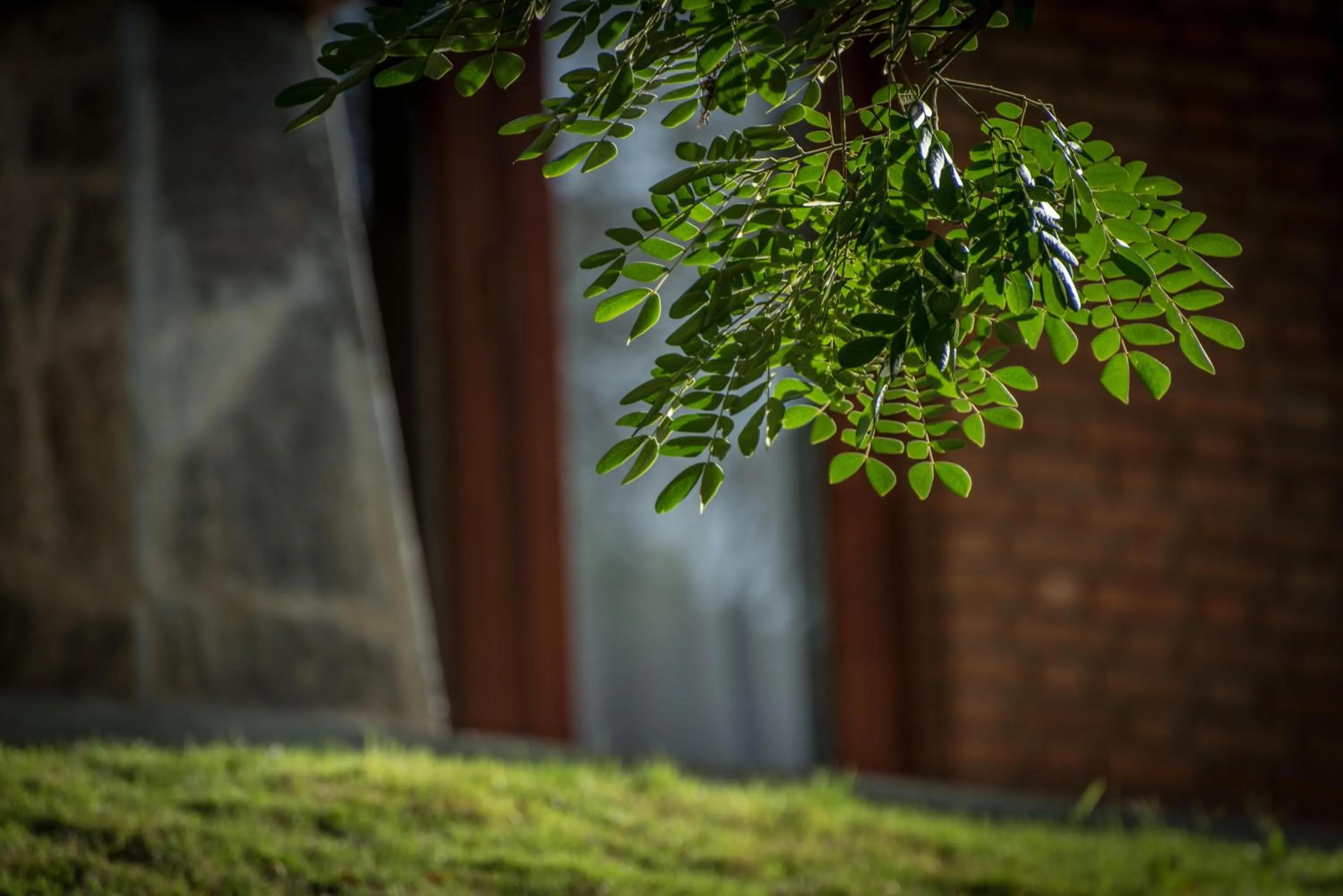 Spring in Victoria Golf Resort